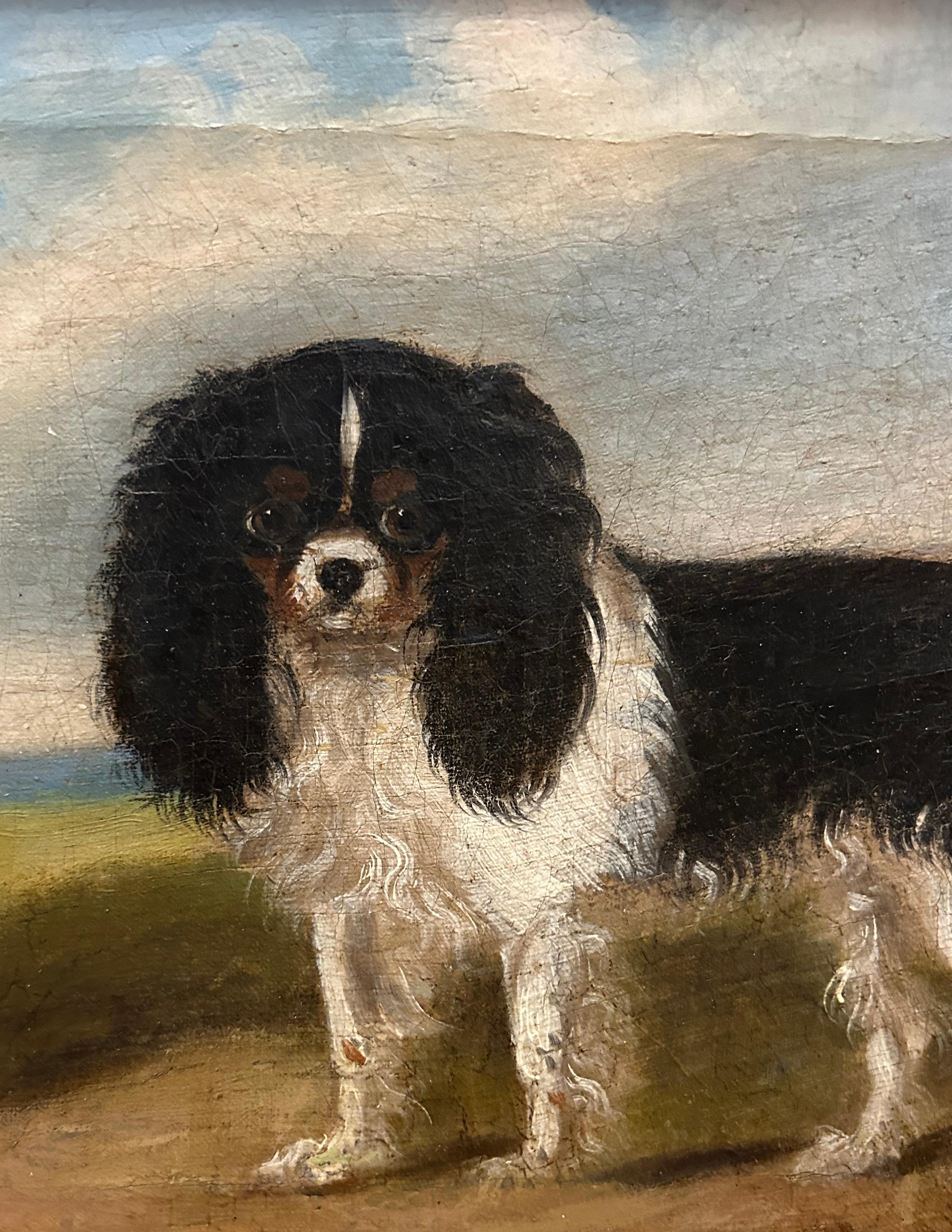 King Charles Spaniel Diptych, 19th century oil on canvas 8