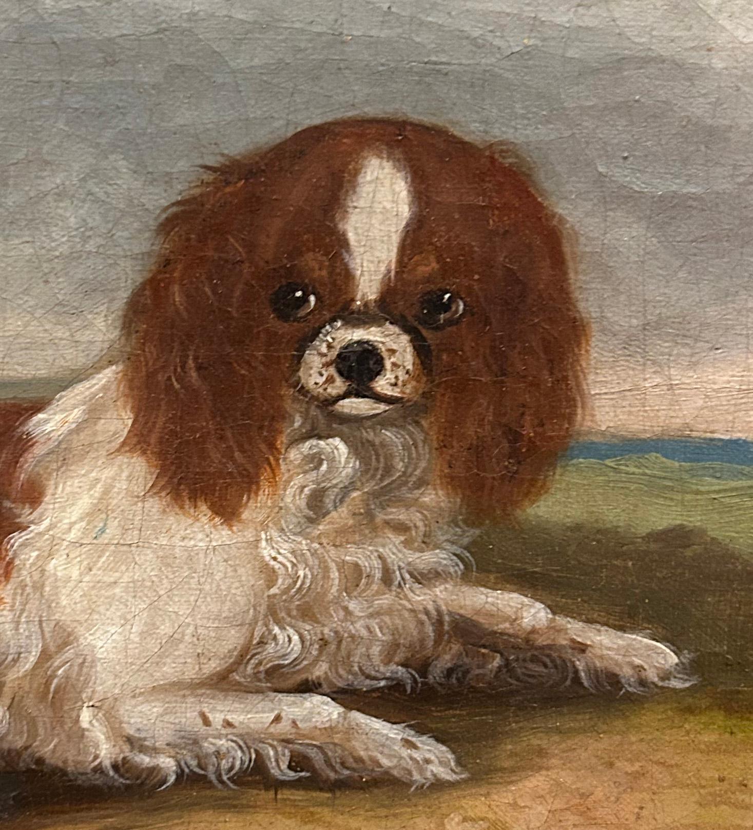 King Charles Spaniel Diptych, 19th century oil on canvas For Sale 3