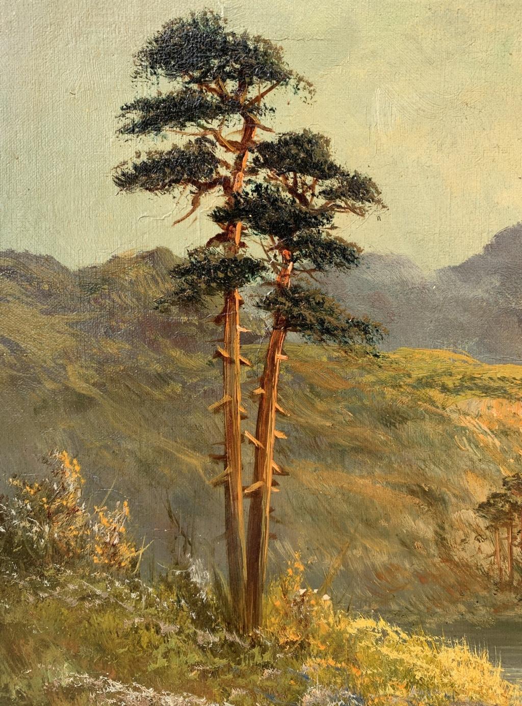 Kontinentale Landschaftsmaler - Malerei des späten 19. Jahrhunderts - Blick auf einen Gebirgsfluss im Angebot 4