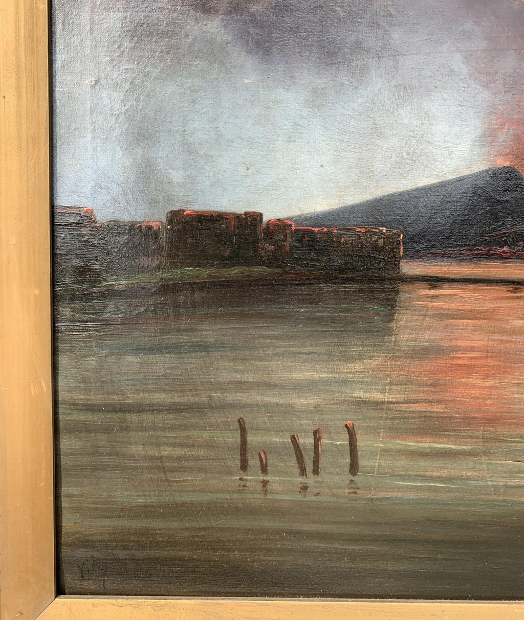 Vedutist Naples painter - 19th century painting - Vesuvius Gulf - Oil on canvas  - Naturalistic Painting by Unknown