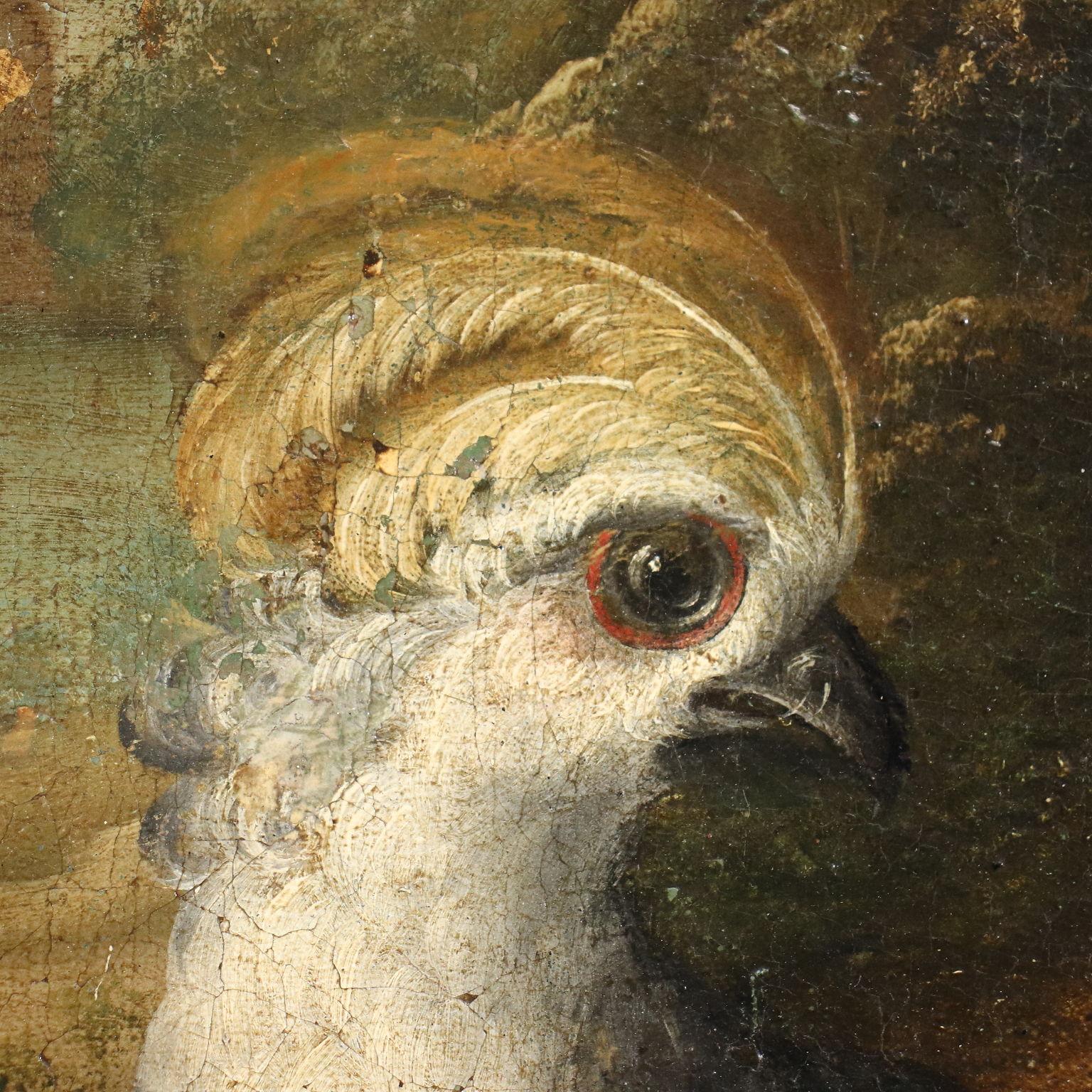 Paysage avec composition de fruits et d'oiseaux, XVIIIe siècle - Marron Landscape Painting par Unknown