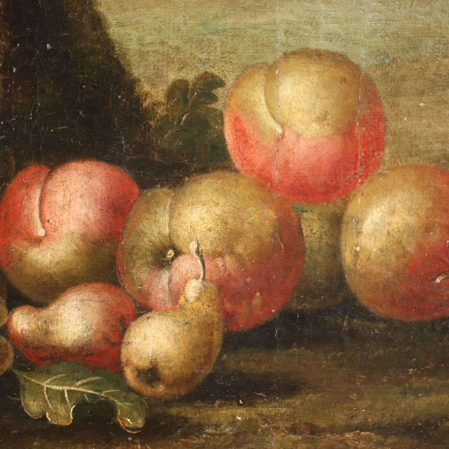 Peinture à l'huile sur toile. La composition n'est pas une nature morte traditionnelle car les fruits (raisins et pommes) et l'oiseau sont insérés dans un grand paysage, comme des éléments ajoutés au premier plan ; derrière eux s'ouvre une campagne