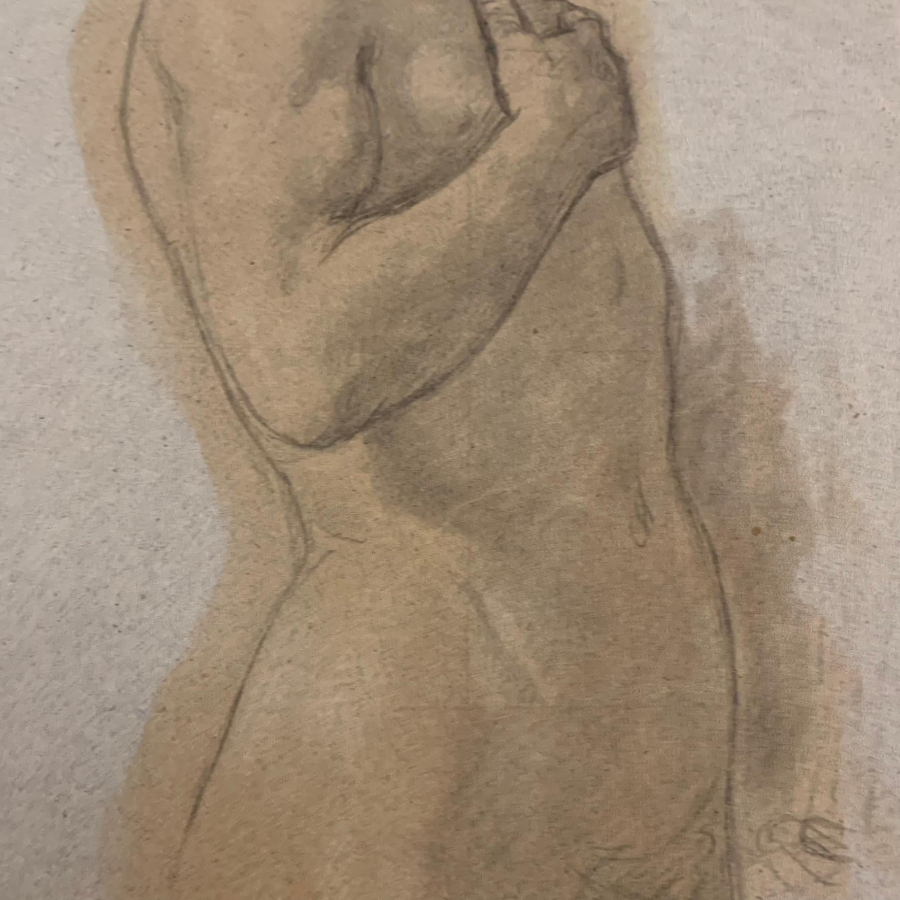 Large Academic Study Of The Nude: Handsome Man With A Beard. XIXcentury. 4