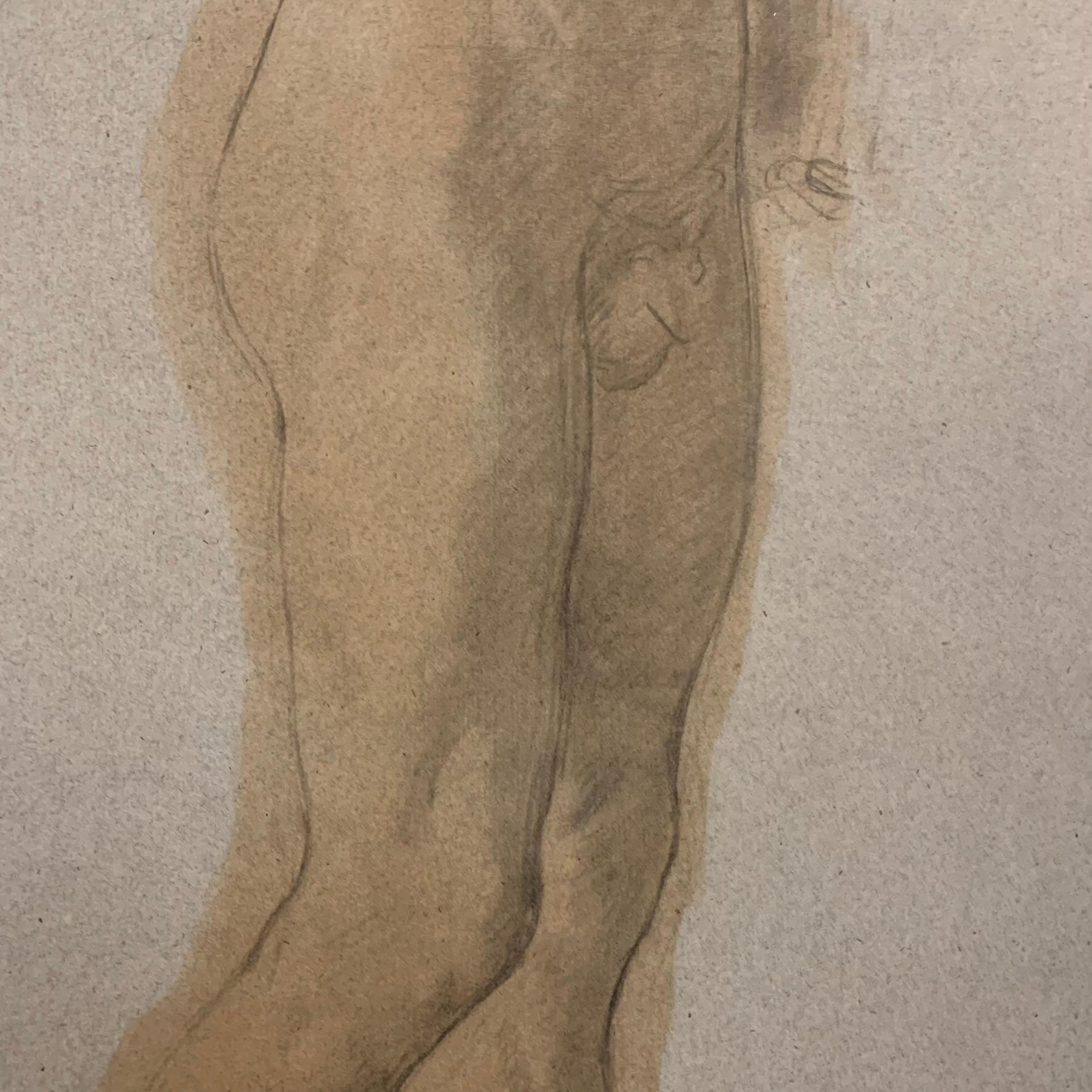 Large Academic Study Of The Nude: Handsome Man With A Beard. XIXcentury. 3