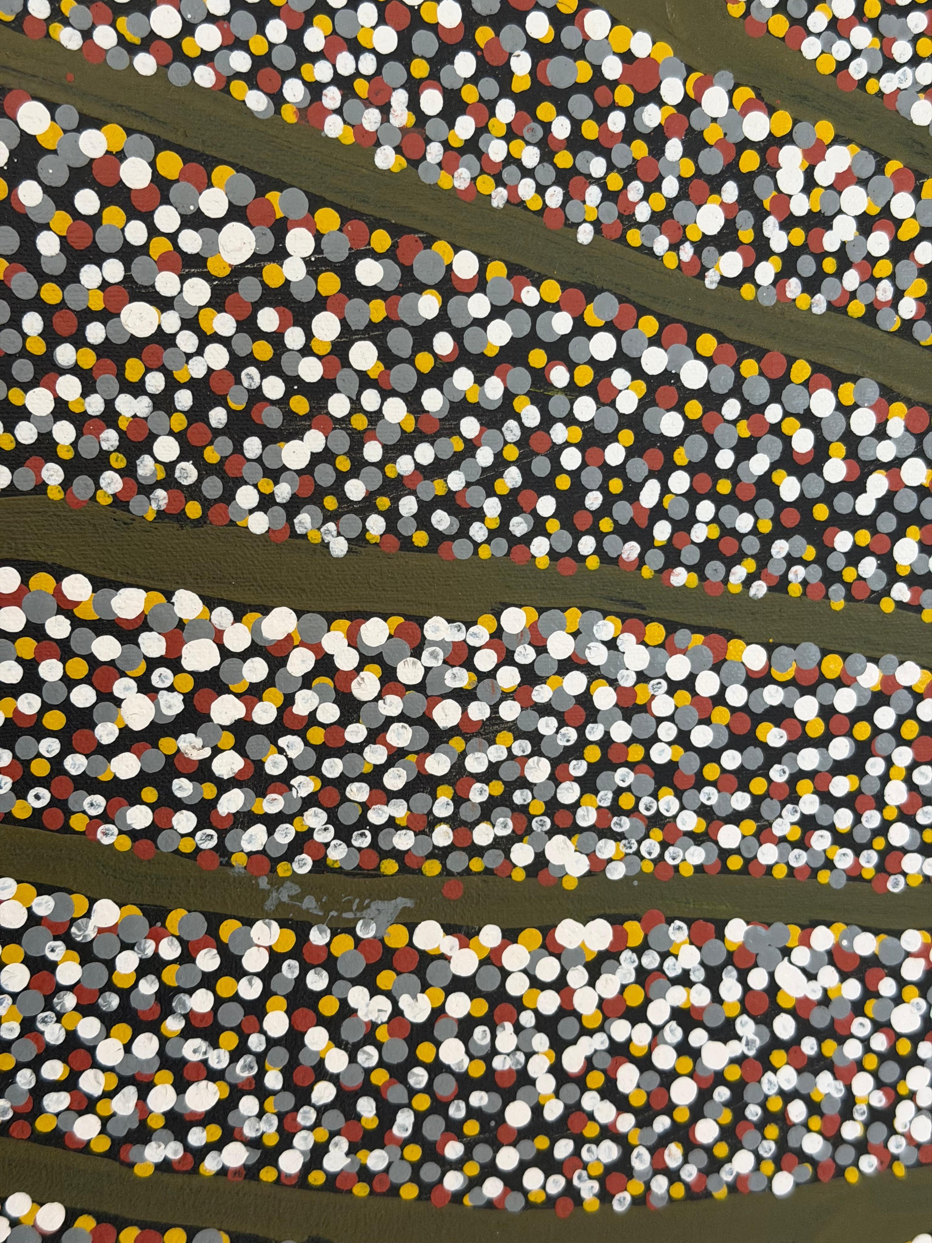 Großformatige Jukurrpa-Traummalerei der Aborigines, zeitgenössisch im Angebot 3