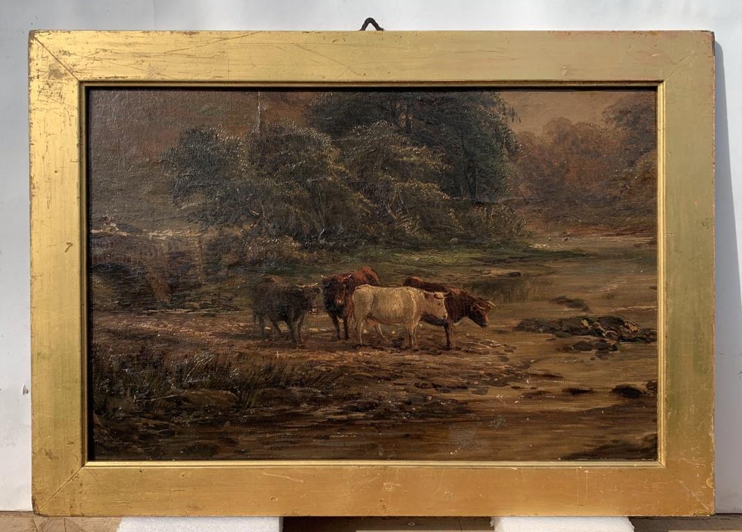 Naturalistic British painter - 19th century landscape painting - Bulls at river  - Painting by Unknown