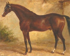 Antique Late 19th Century Oil - Bay Thoroughbred