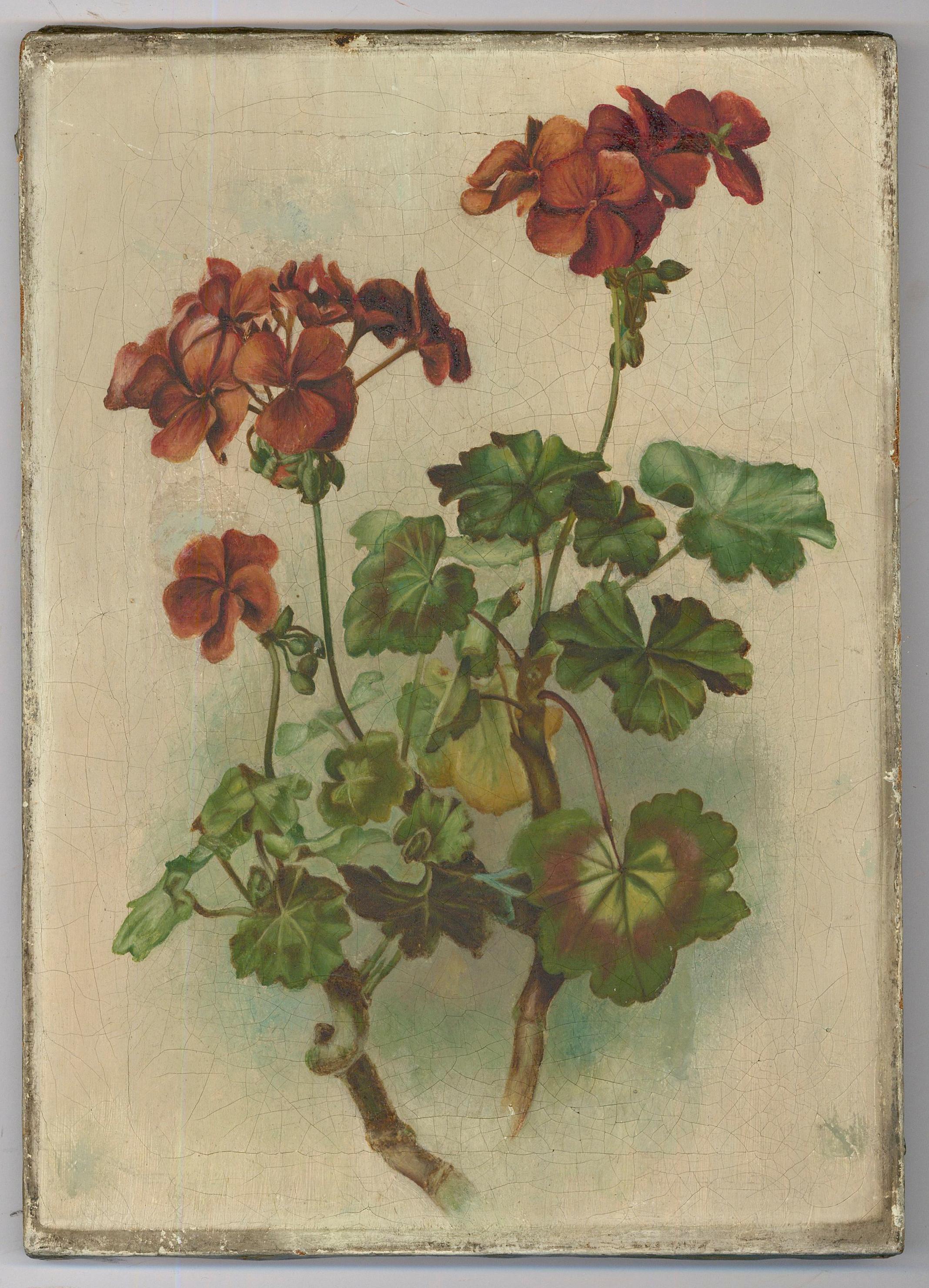 Late 19th Century Oil - Red Geranium - Painting by Unknown