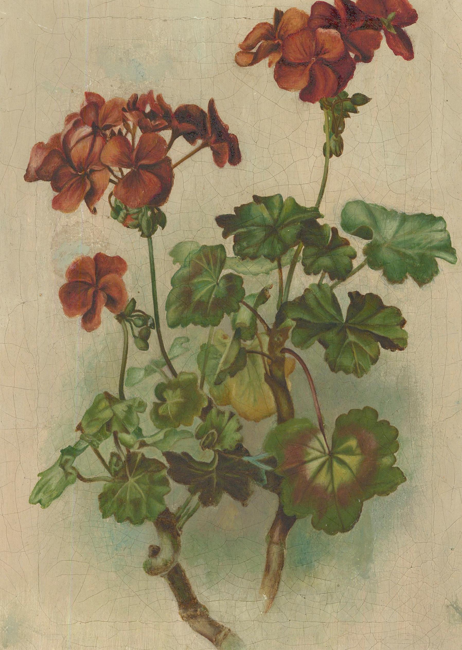 Unknown Still-Life Painting - Late 19th Century Oil - Red Geranium