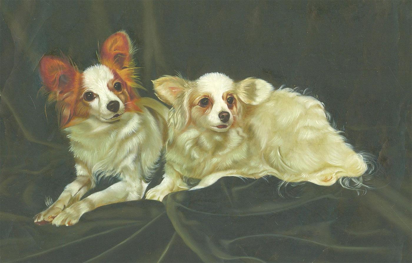 A delightful oil study of two Papillon dogs resting on a green cloth and looking curiously behind us. Unsigned. On canvas paper.
