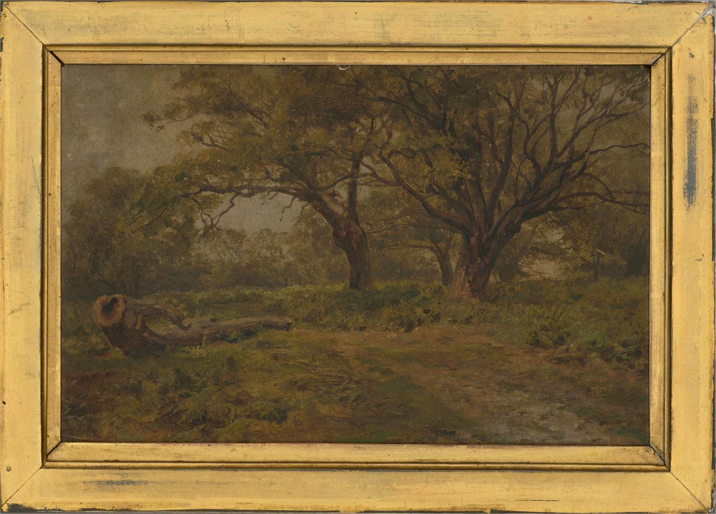 Late 19th Century Oil - Woodland Landscape - Painting by Unknown