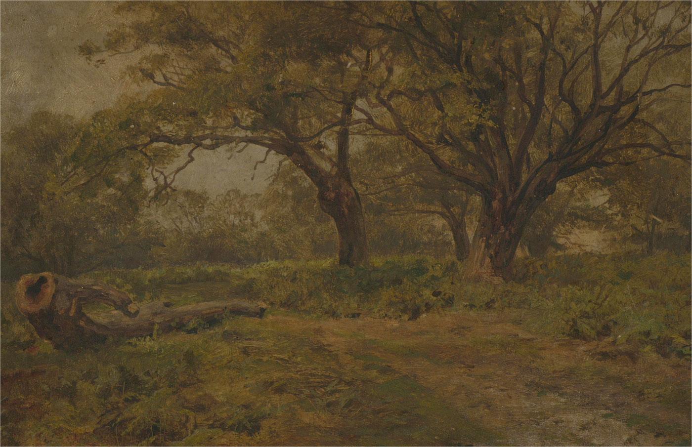Late 19th Century Oil - Woodland Landscape - Brown Landscape Painting by Unknown