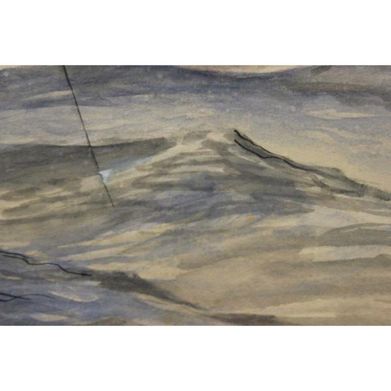Vintage sailfish watercolor 
c1950s

Provenance: A prominent Newport, RI estate

Art Sz: 14