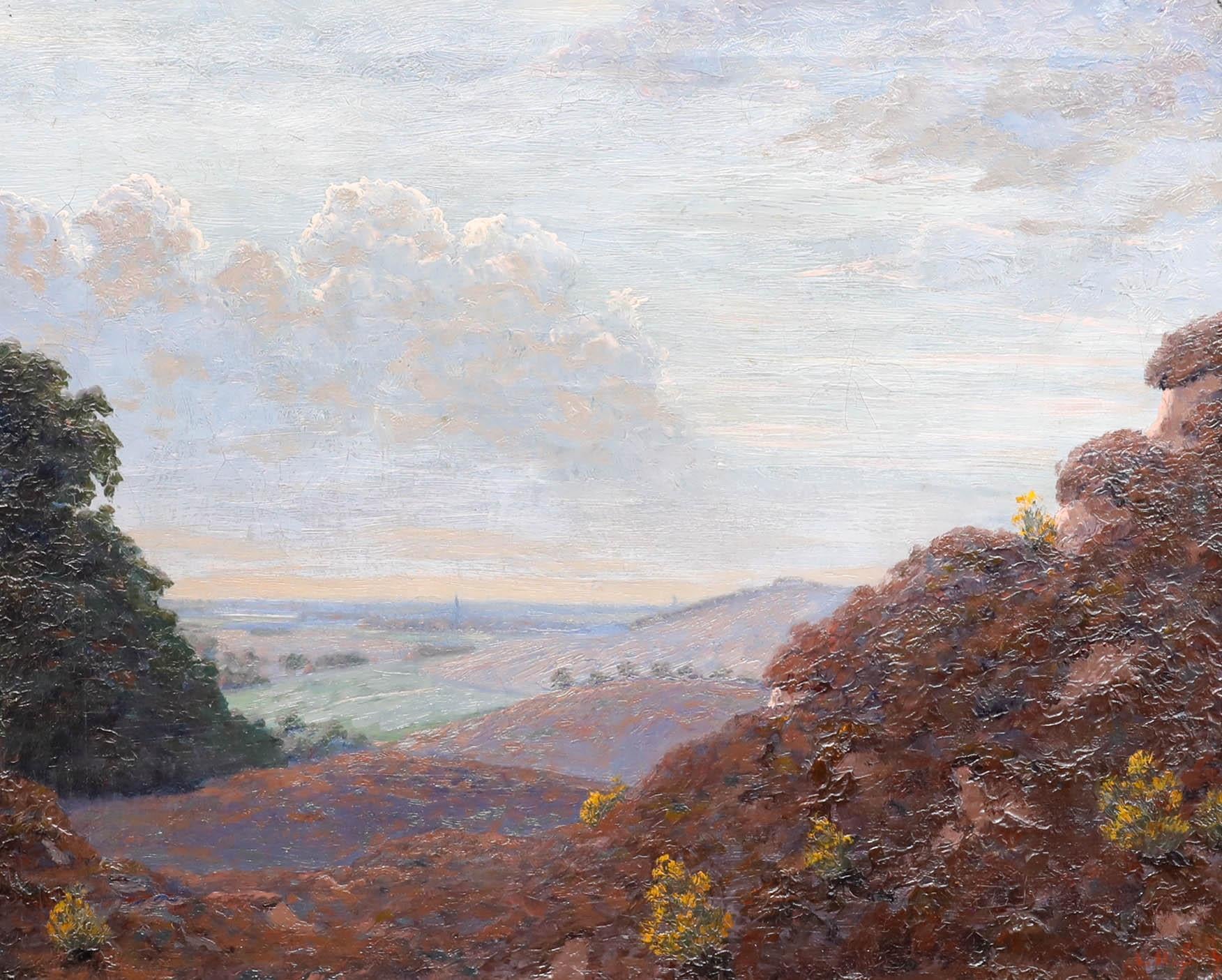 Leendert Adriaan Schilt (1873-1935) - Late 19th Century Oil, The Zijpenberg - Painting by Unknown