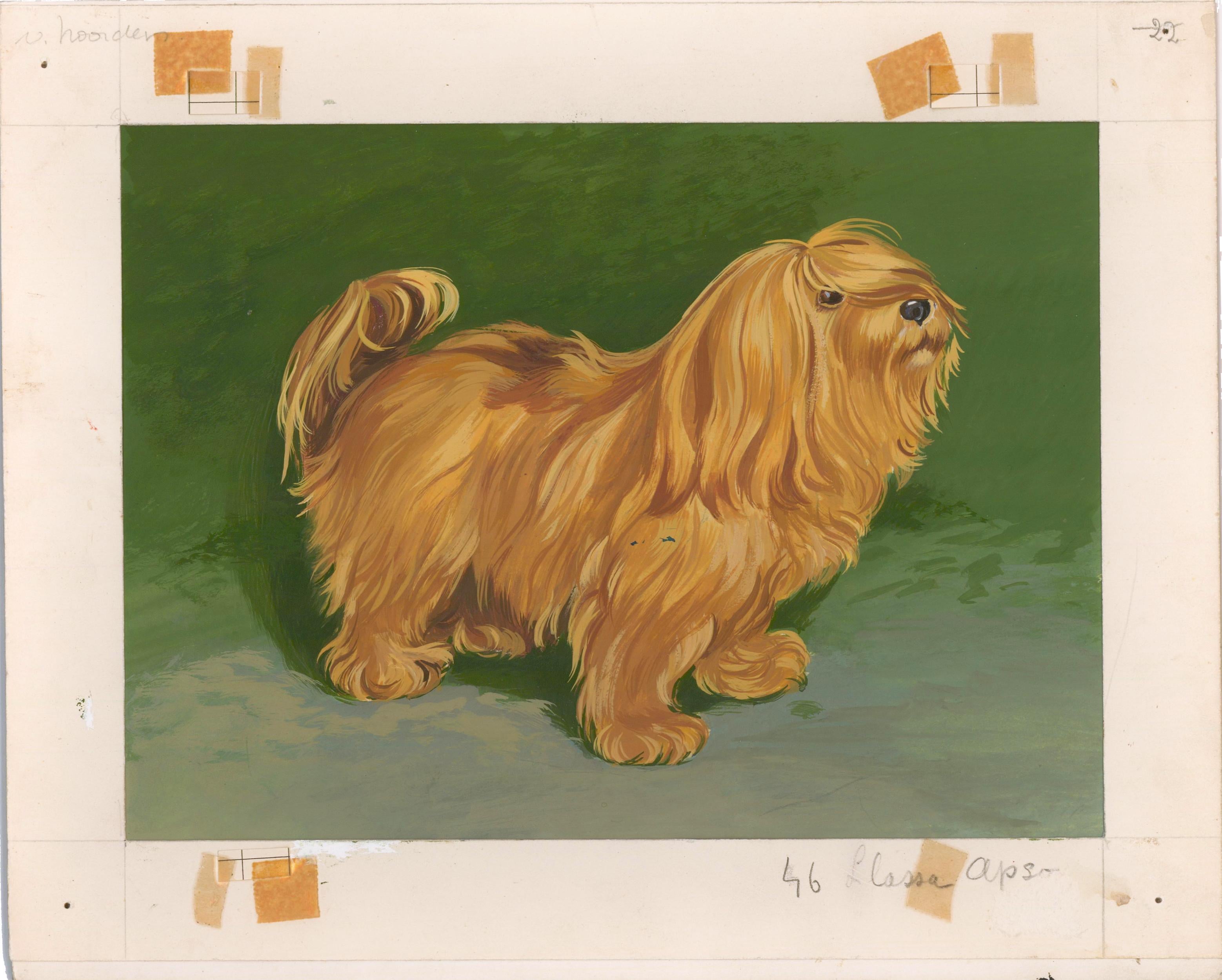 Peinture Lhasa Apso - Painting de Unknown