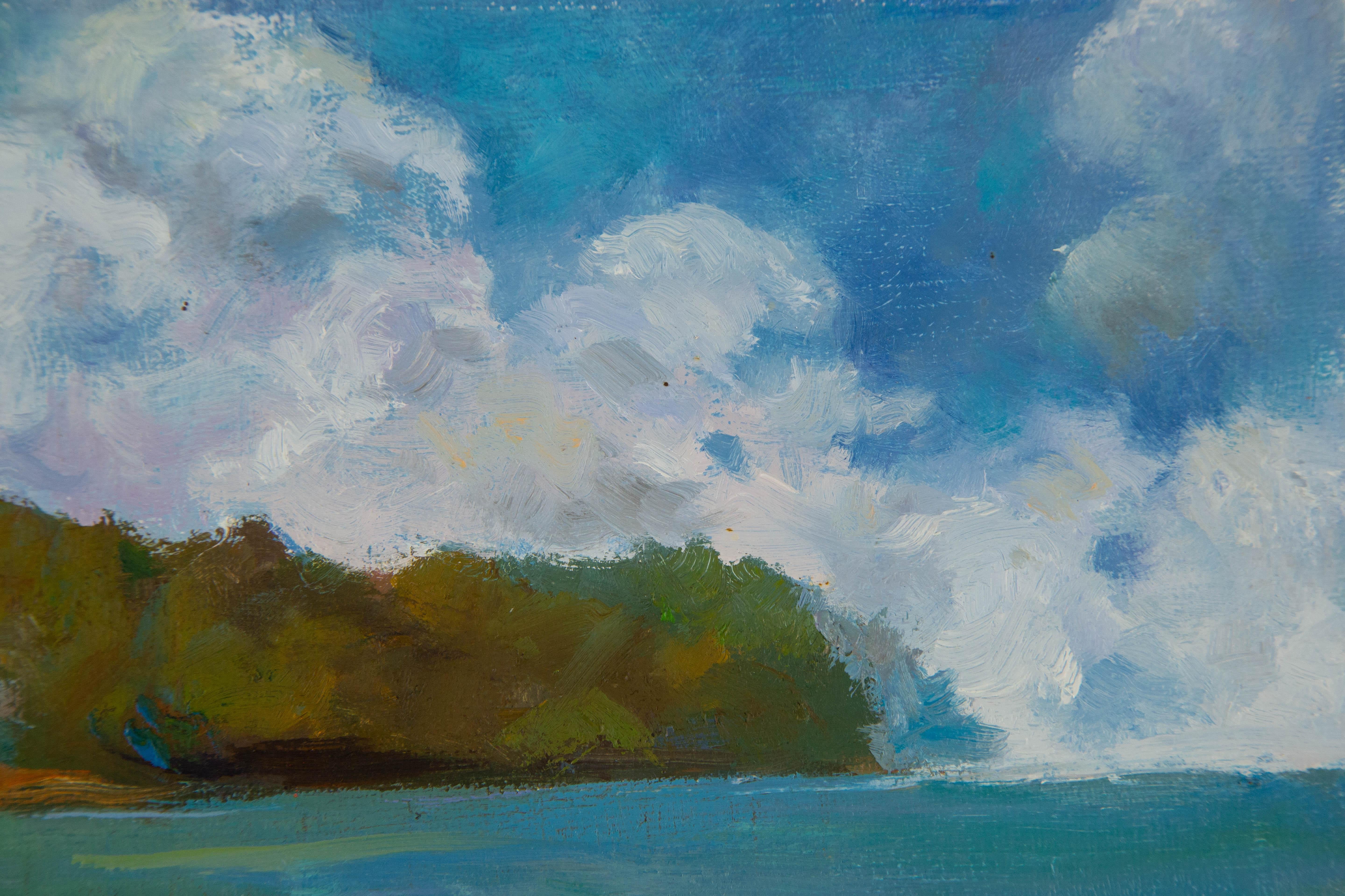 Title: Bay - Cloudy Day
Medium: Oil on canvas
Size: 8 x 12 inches
Frame: Framing options available!
Condition: The painting appears to be in excellent condition.
Note: This painting is unstretched
Year: 2000 Circa
Artist: Ligang Wang
Signature: