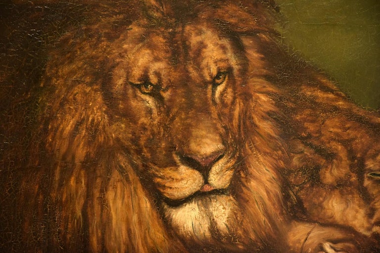 Unknown Lion And Lioness Original Oil On Canvas Early th Century For Sale At 1stdibs