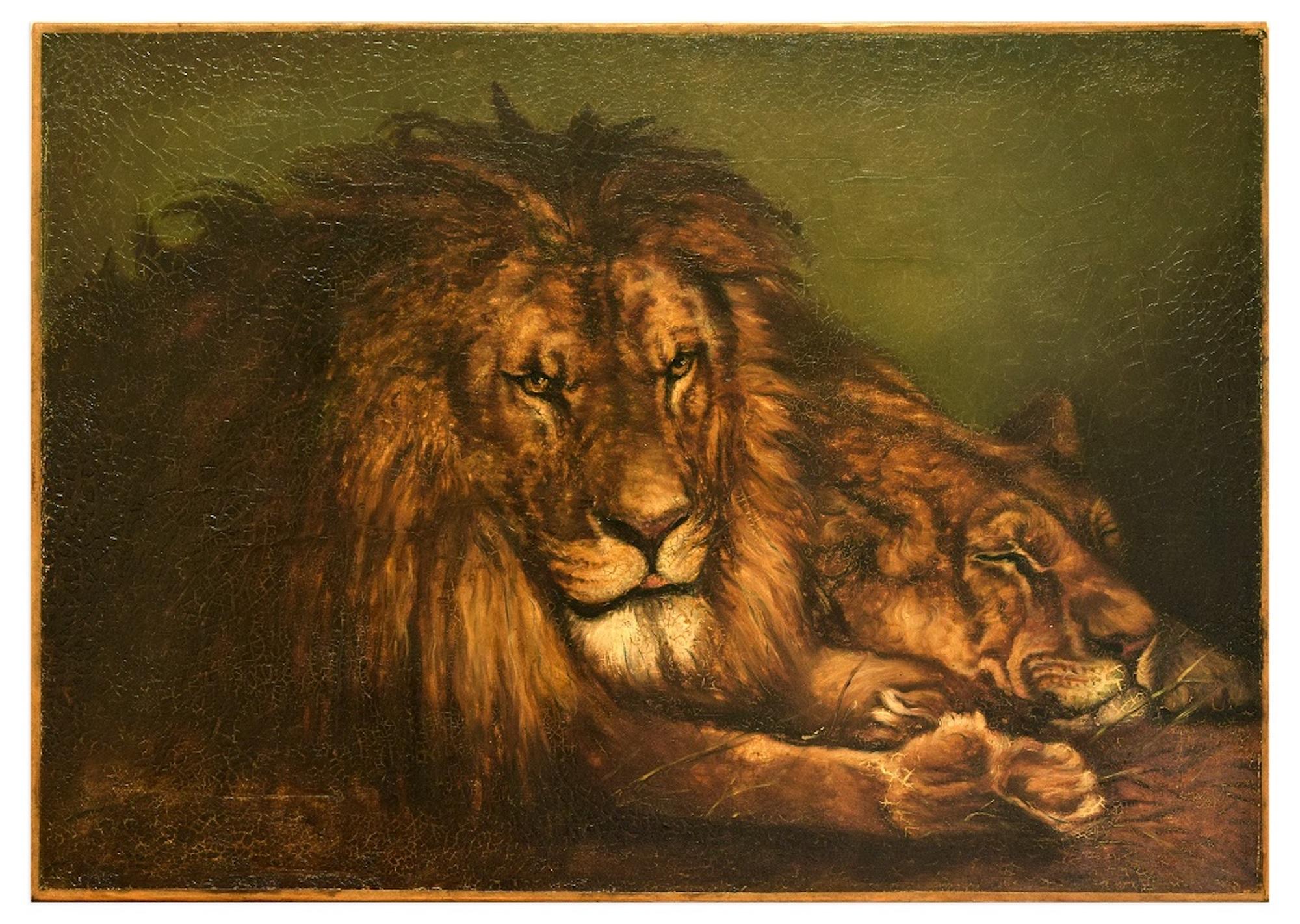 Unknown Lion And Lioness Original Oil On Canvas Early 20th Century For Sale At 1stdibs