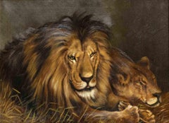 Lions -  Oil Painting - 1950 ca