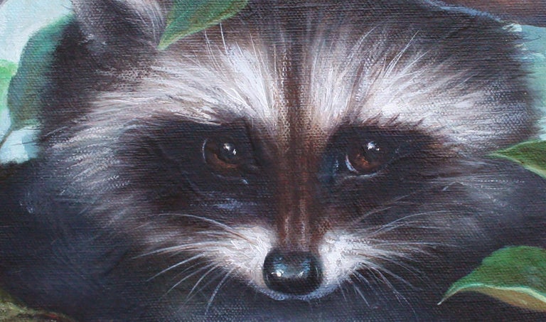 Little Scamp - Baby Racoon Portrait  - American Impressionist Painting by Unknown
