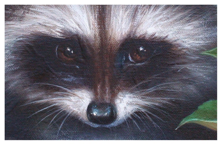 Little Scamp - Baby Racoon Portrait  - Gray Portrait Painting by Unknown