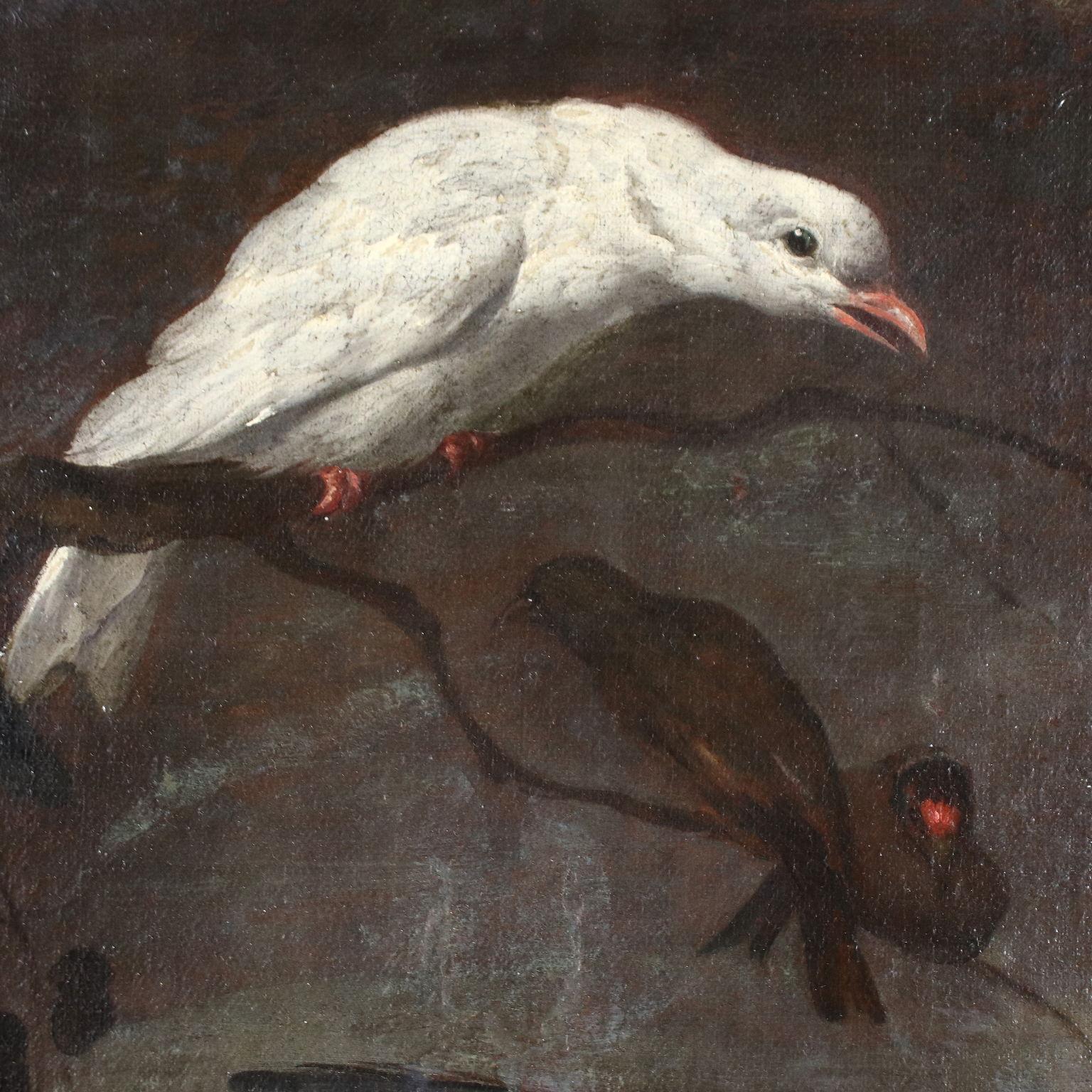 Living Nature with Birds, 17ty century - Other Art Style Painting by Unknown