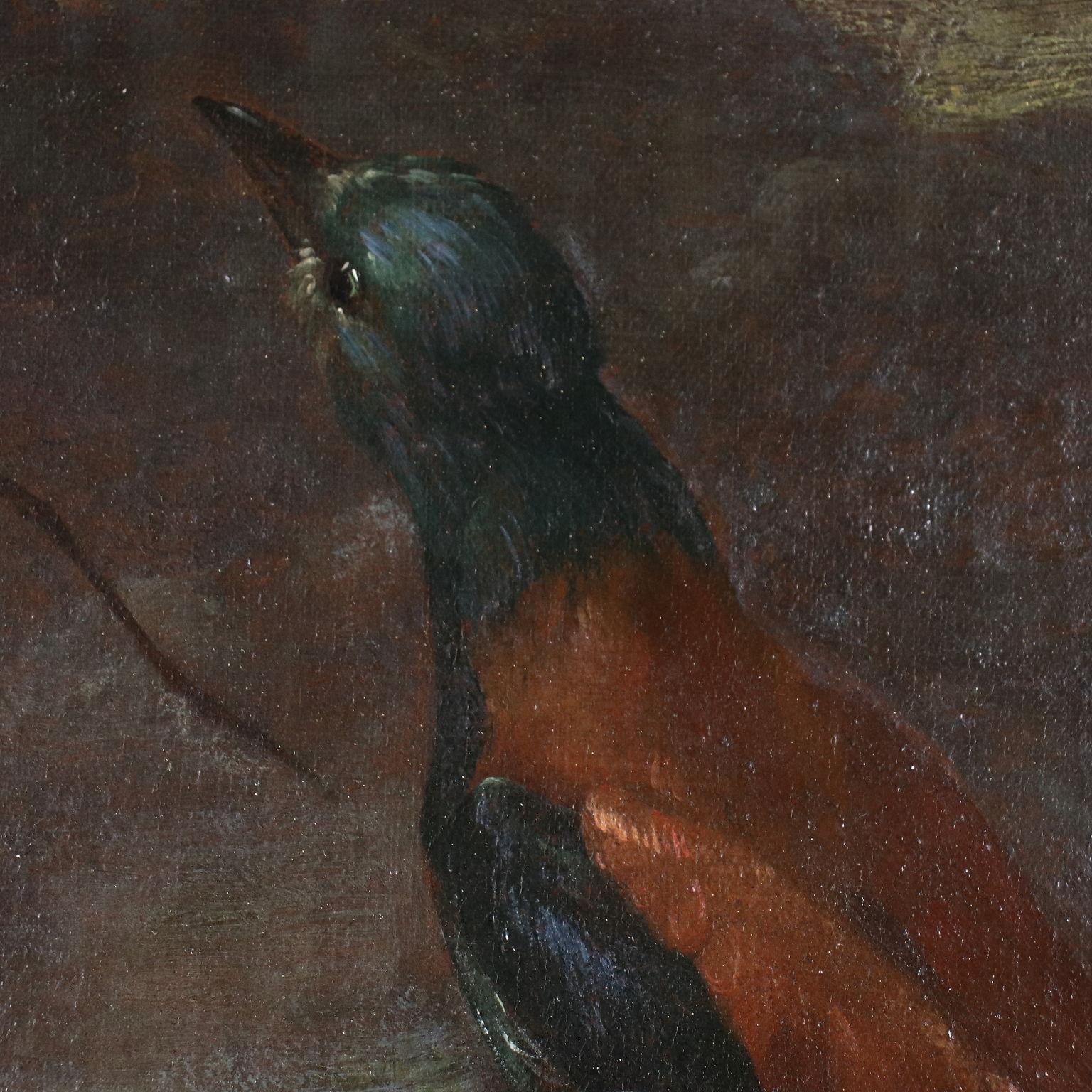 Living Nature with Birds, 17ty century - Black Animal Painting by Unknown