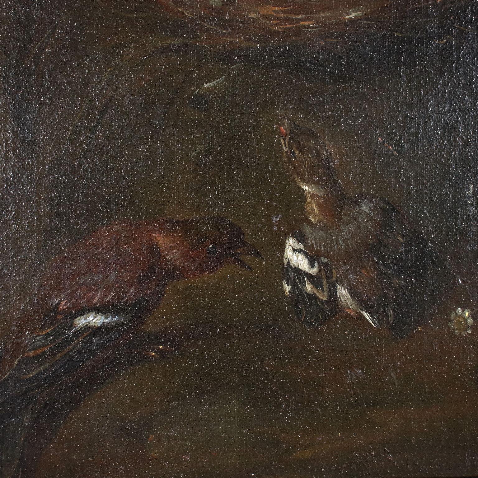 Living Nature with Birds, 17ty century 3