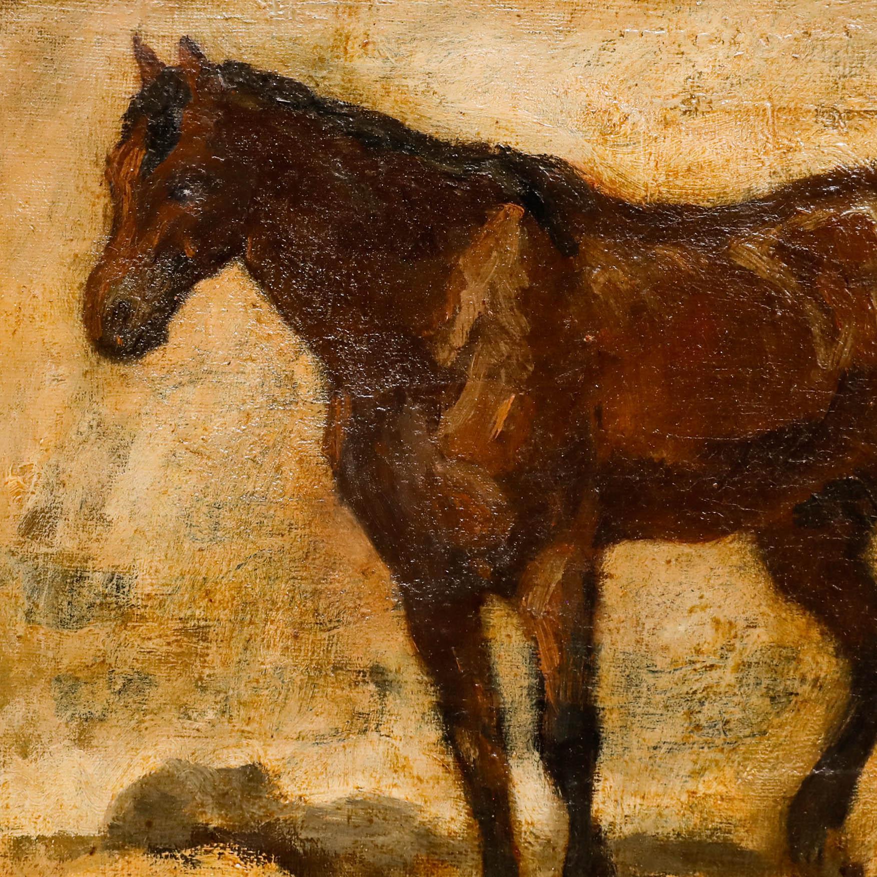 Estudio al óleo de finales del siglo XIX de un majestuoso caballo pardo. Fechado en un pequeño parche en la parte inferior derecha. Una etiqueta en el reverso reza 