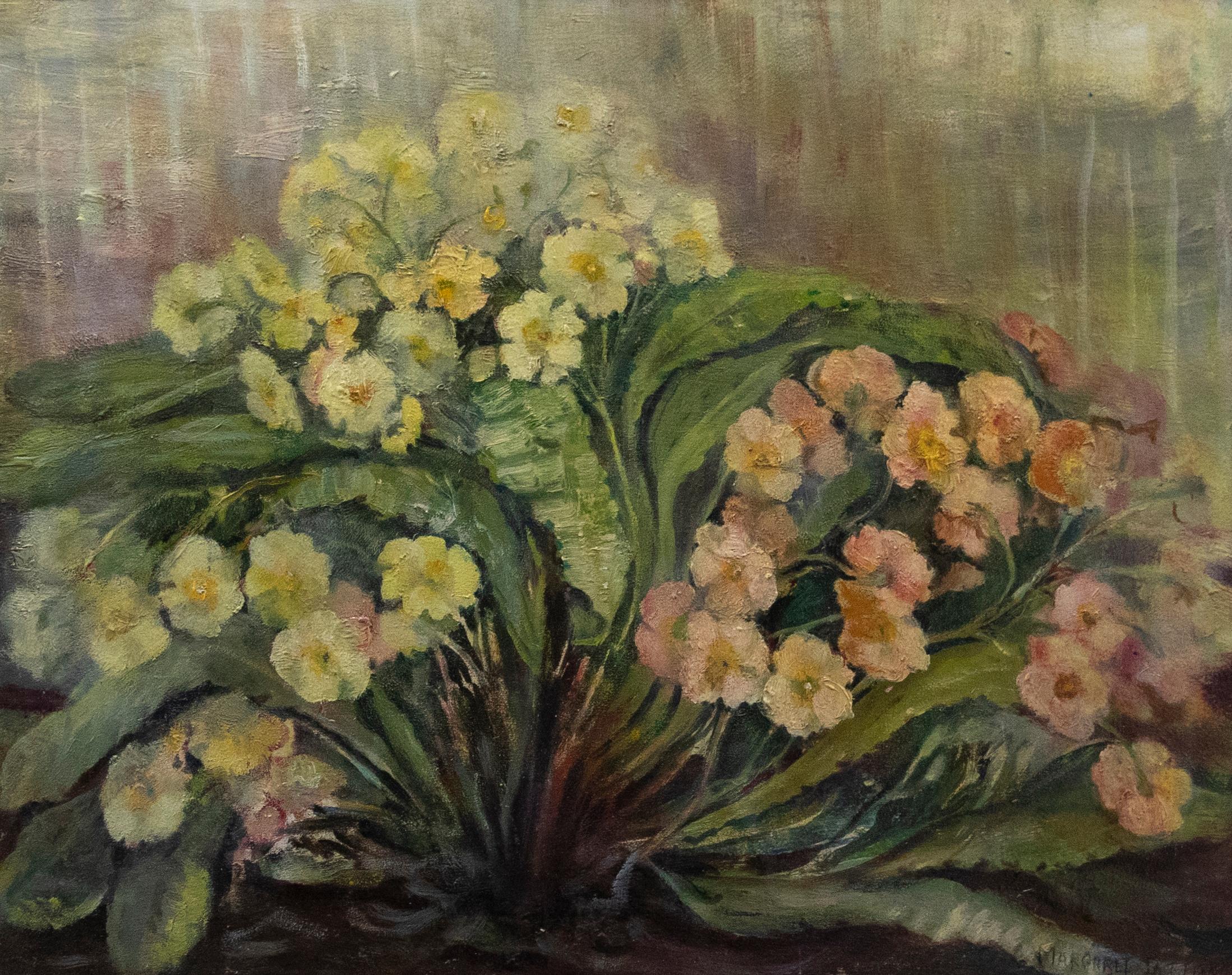 Margaret Tatton - Olio della metà del XX secolo incorniciato, Natura morta di Primula - Painting di Unknown