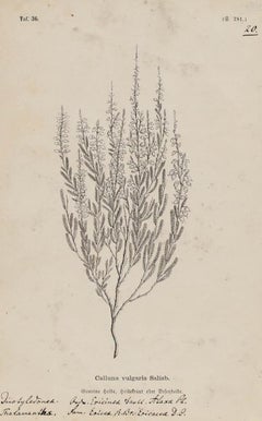 Marx - Framed 1909 Oil, Autumn Leaves