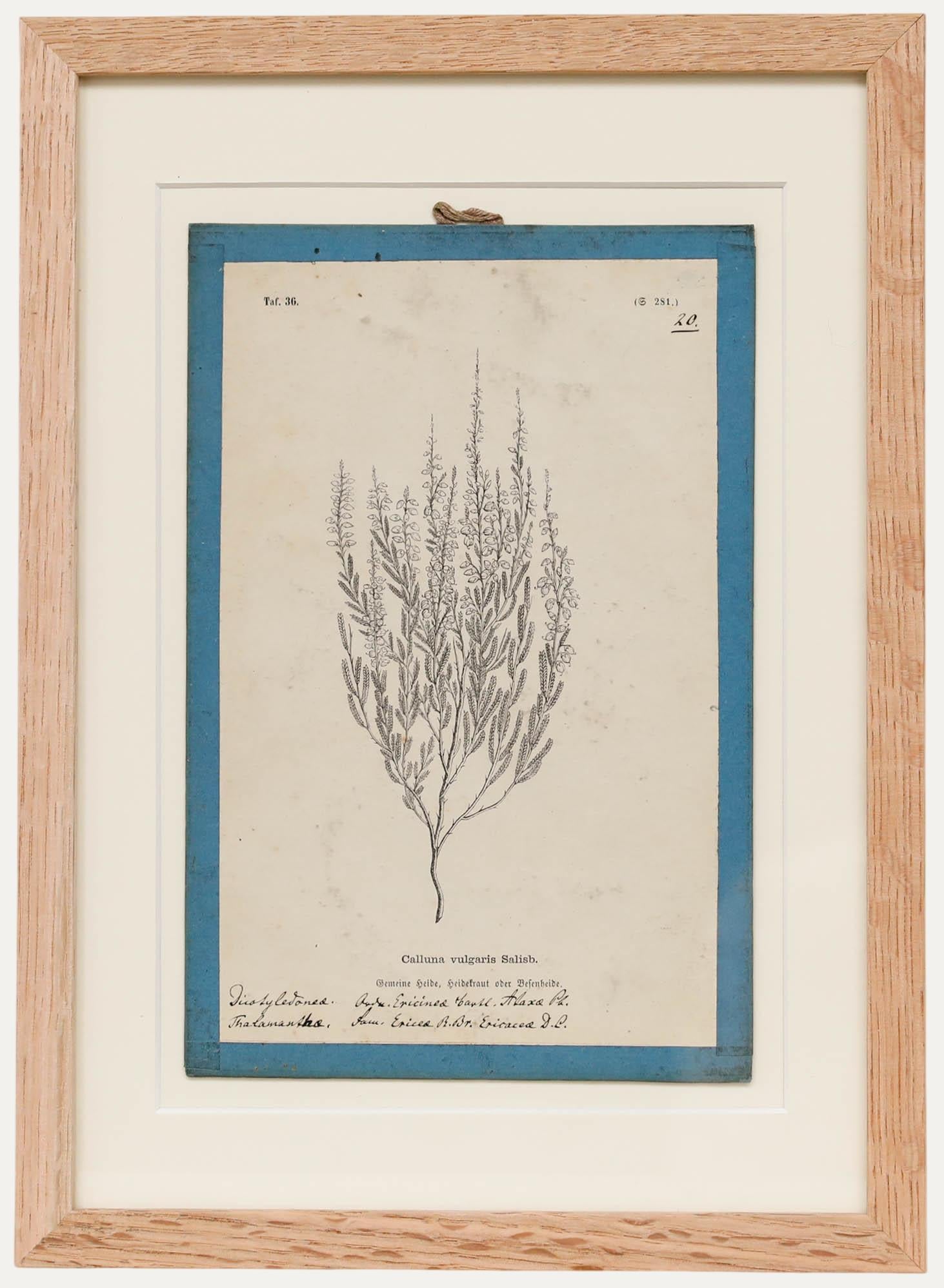 Landscape Painting di Unknown - Marx - Olio del 1909 incorniciato, Foglie d
autunno