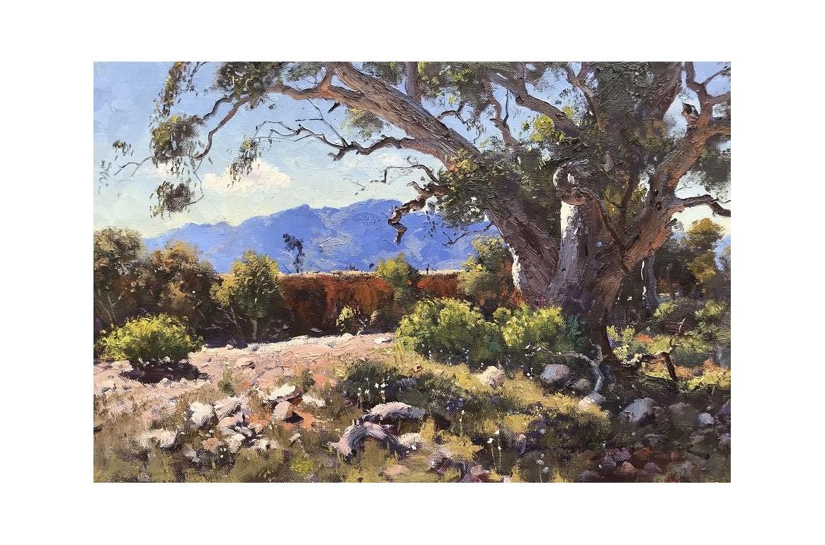 Warwick Fuller Landscape Painting - Mary Creek, Flinders Ranges