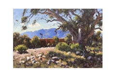 Mary Creek, Flinders Ranges