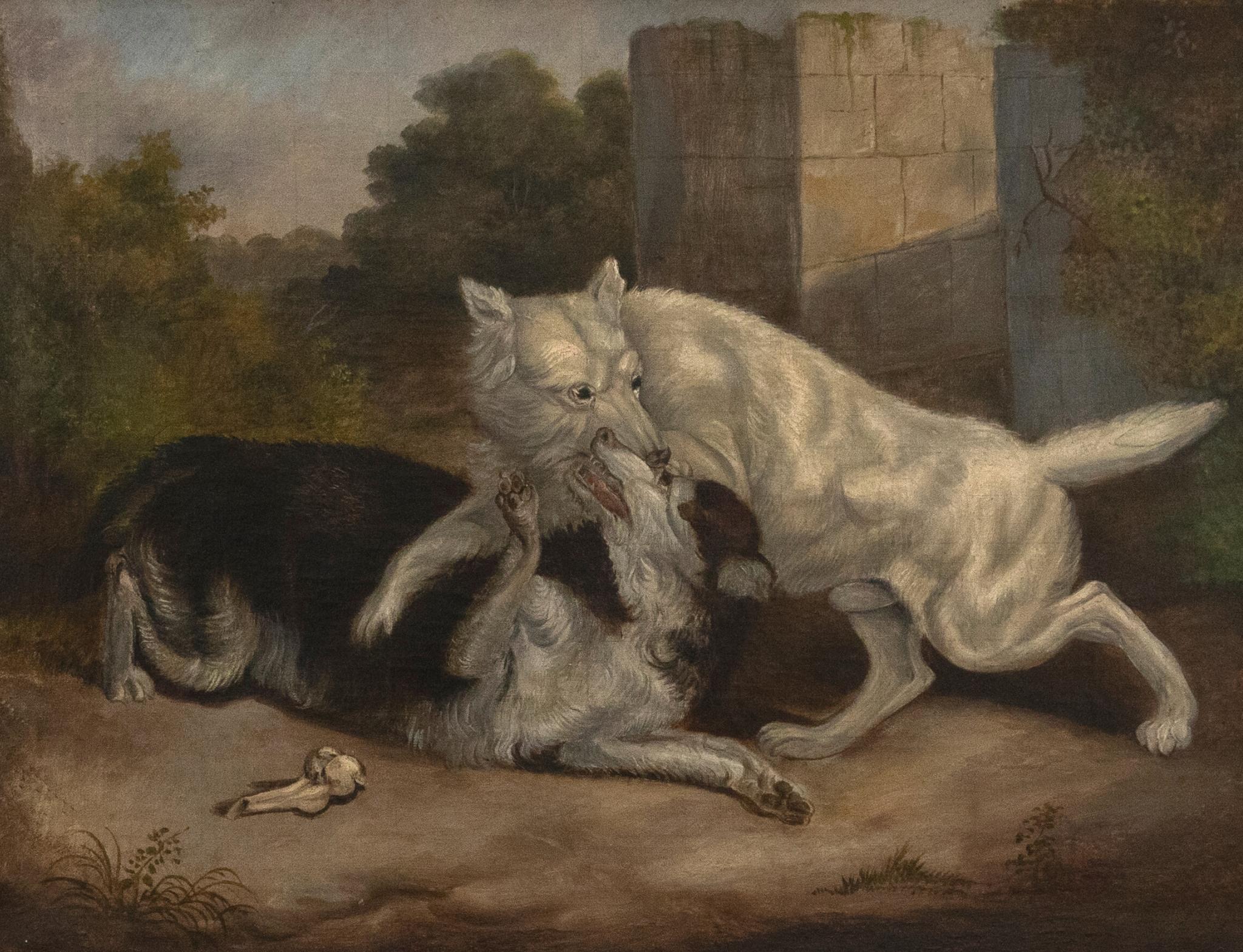 Un olio del XIX secolo dinamico e coinvolgente, che mostra due cani impegnati in una feroce lotta per i resti di un osso. Entrambi i cani hanno gli occhi selvaggi e i denti scoperti, aggiungendo un presagio predatorio al dipinto. La scena ha un