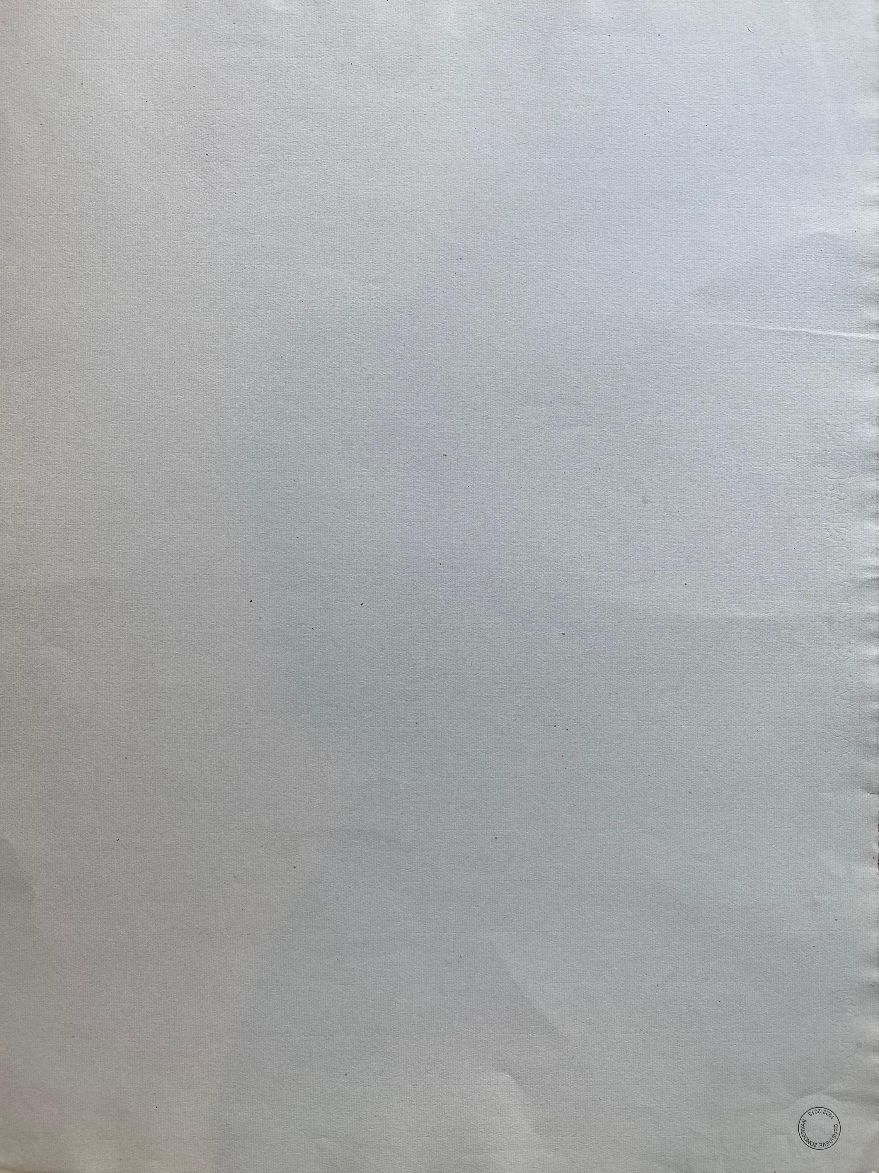 Dessin au fusain français du milieu du 20e siècle - Portrait d'une femme nue debout - Gris Nude Painting par Unknown