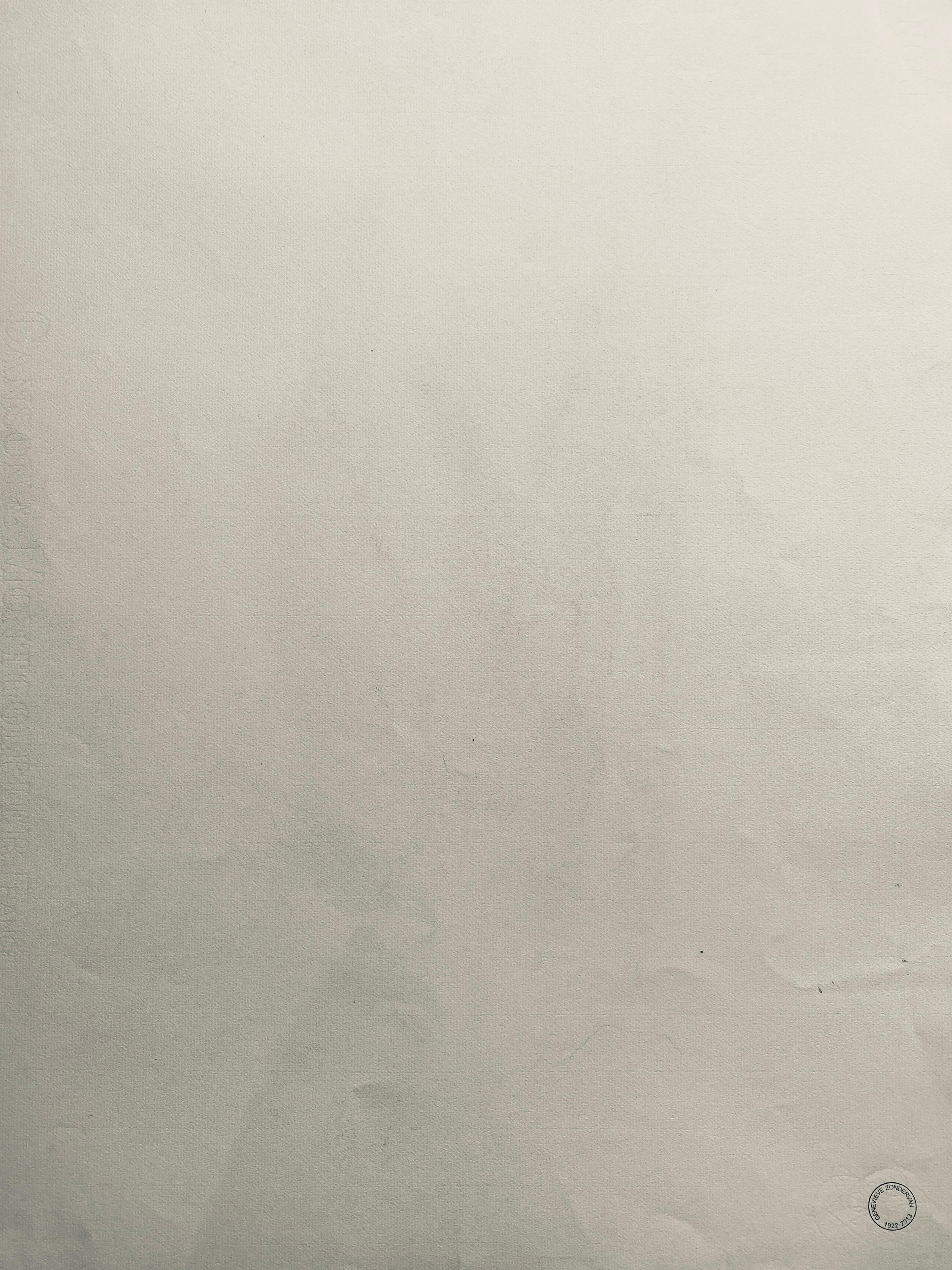 Dessin français au fusain du milieu du 20e siècle, portrait d'une femme nue debout - Gris Nude Painting par Unknown