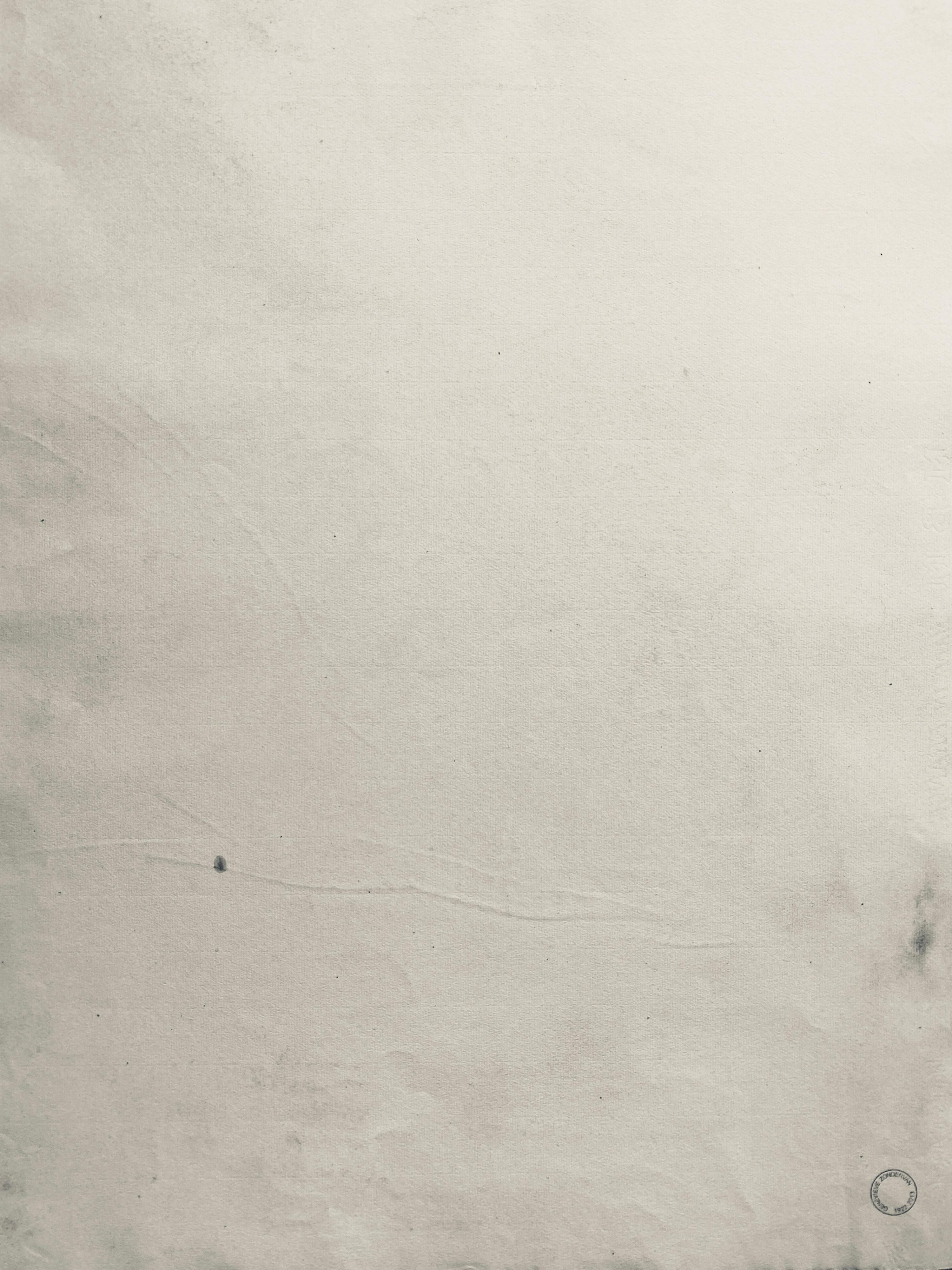 Dessin au fusain français du milieu du 20e siècle - Portrait d'une femme nue debout - Gris Nude Painting par Unknown