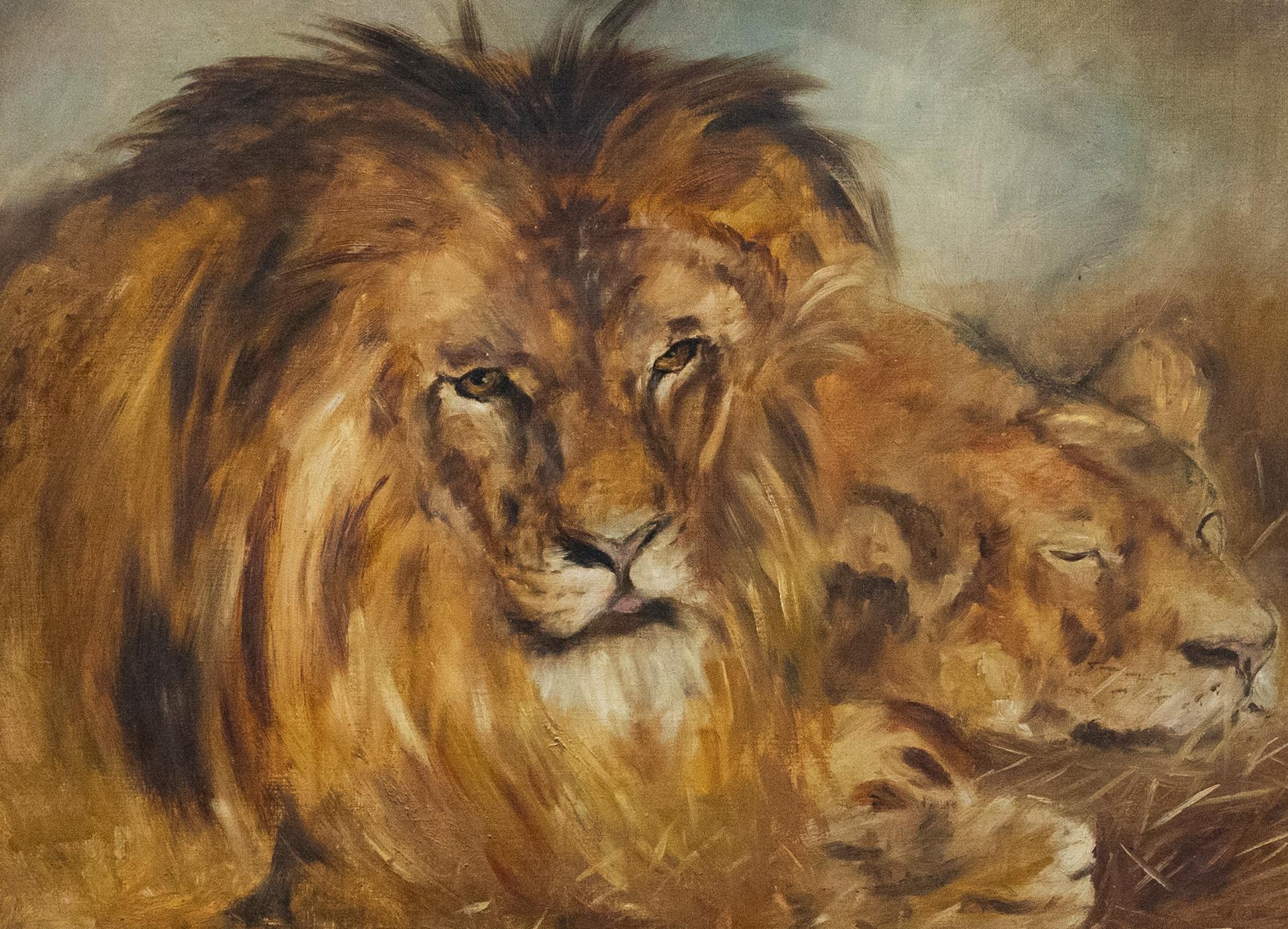 Mid 20th Century Oil - Lion and Lioness - Painting by Unknown
