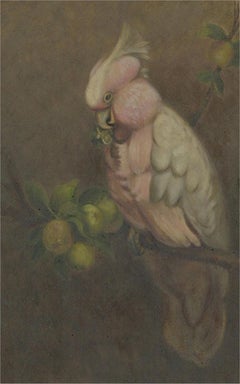 Mid 20th Century Oil - Pink Cockatoo