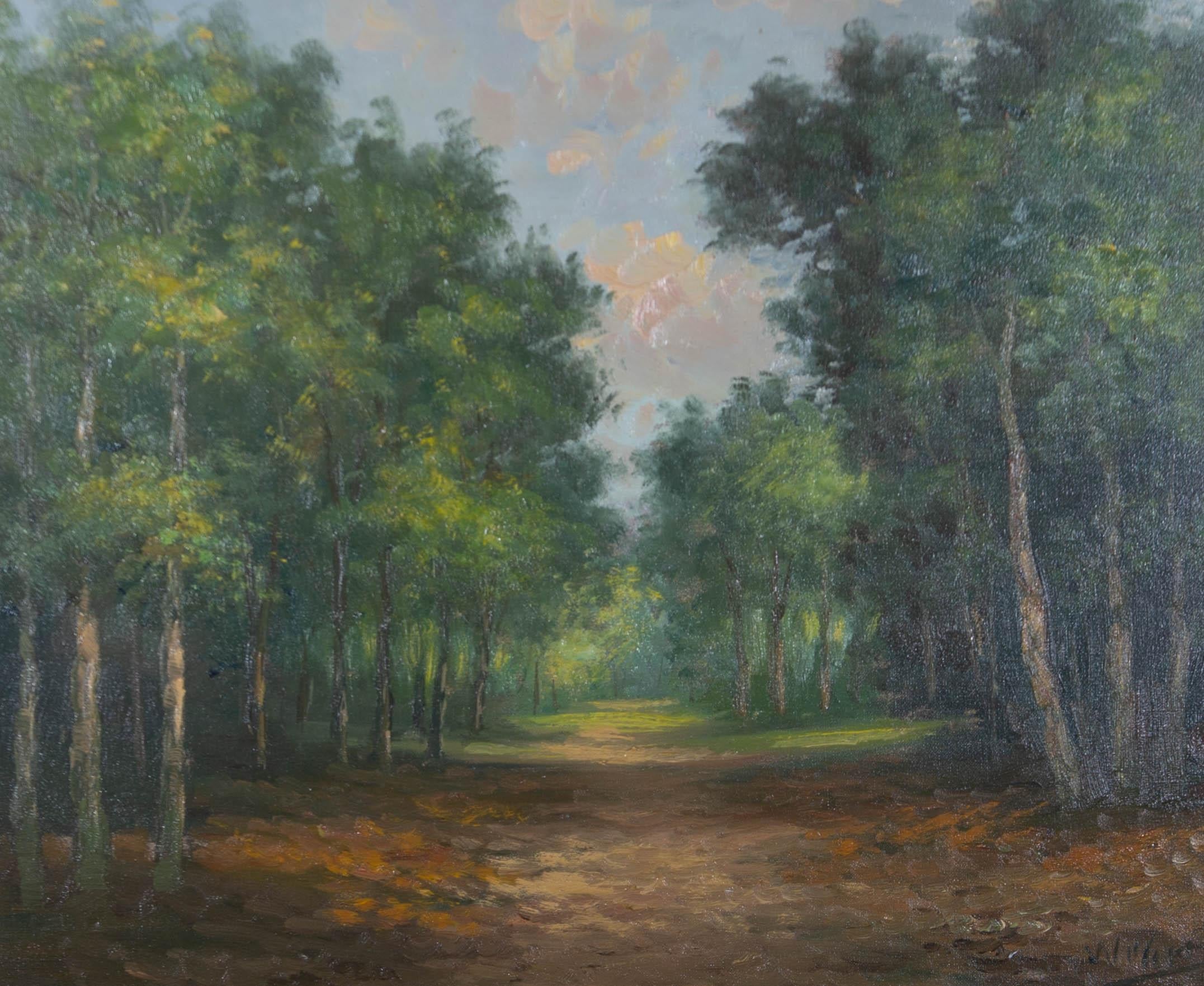 Mid 20th Century Oil - Summer In The Woods - Painting by Unknown