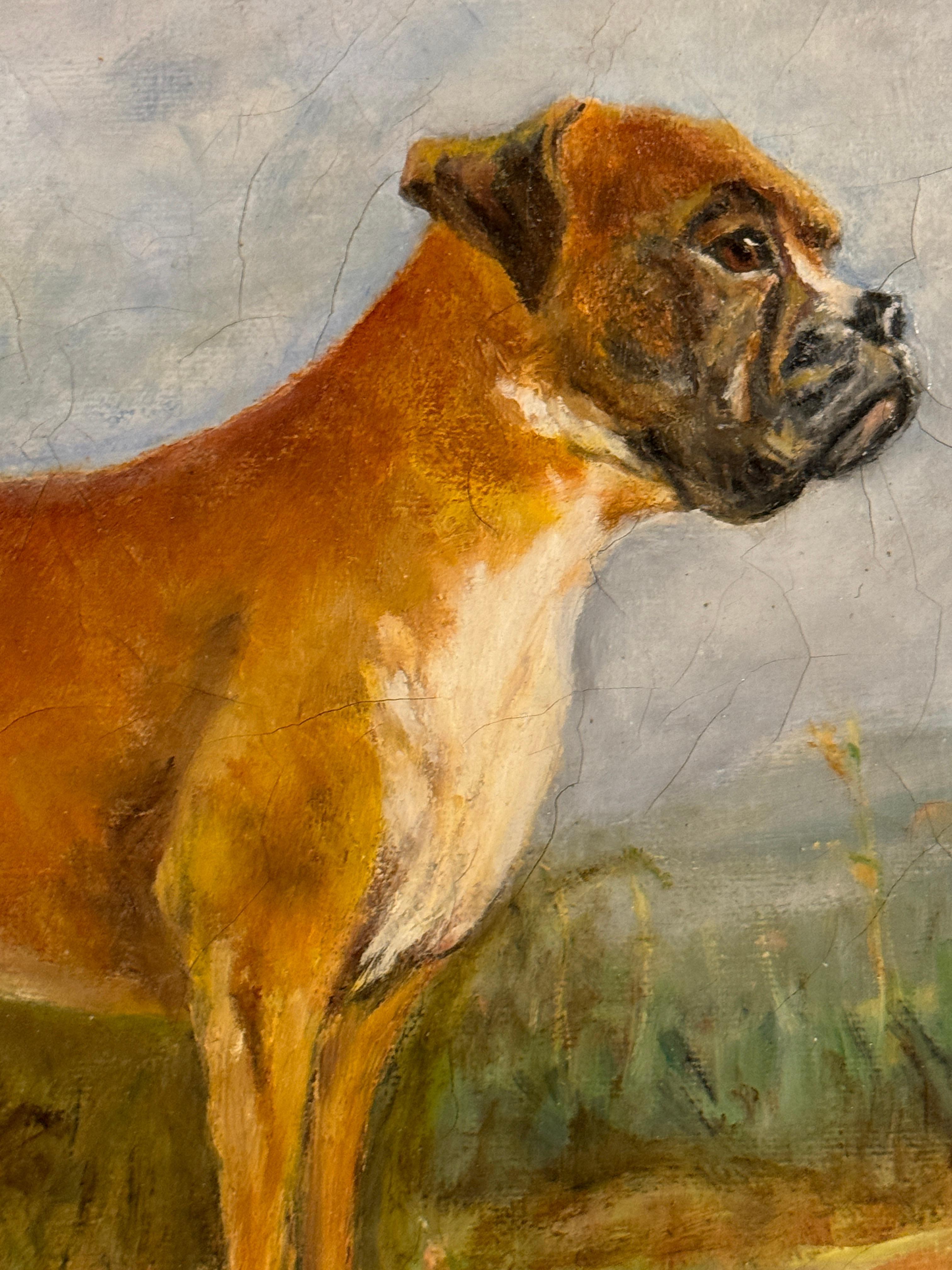 Mid century English portrait of a Boxer dog standing in a landscape - Painting by Unknown