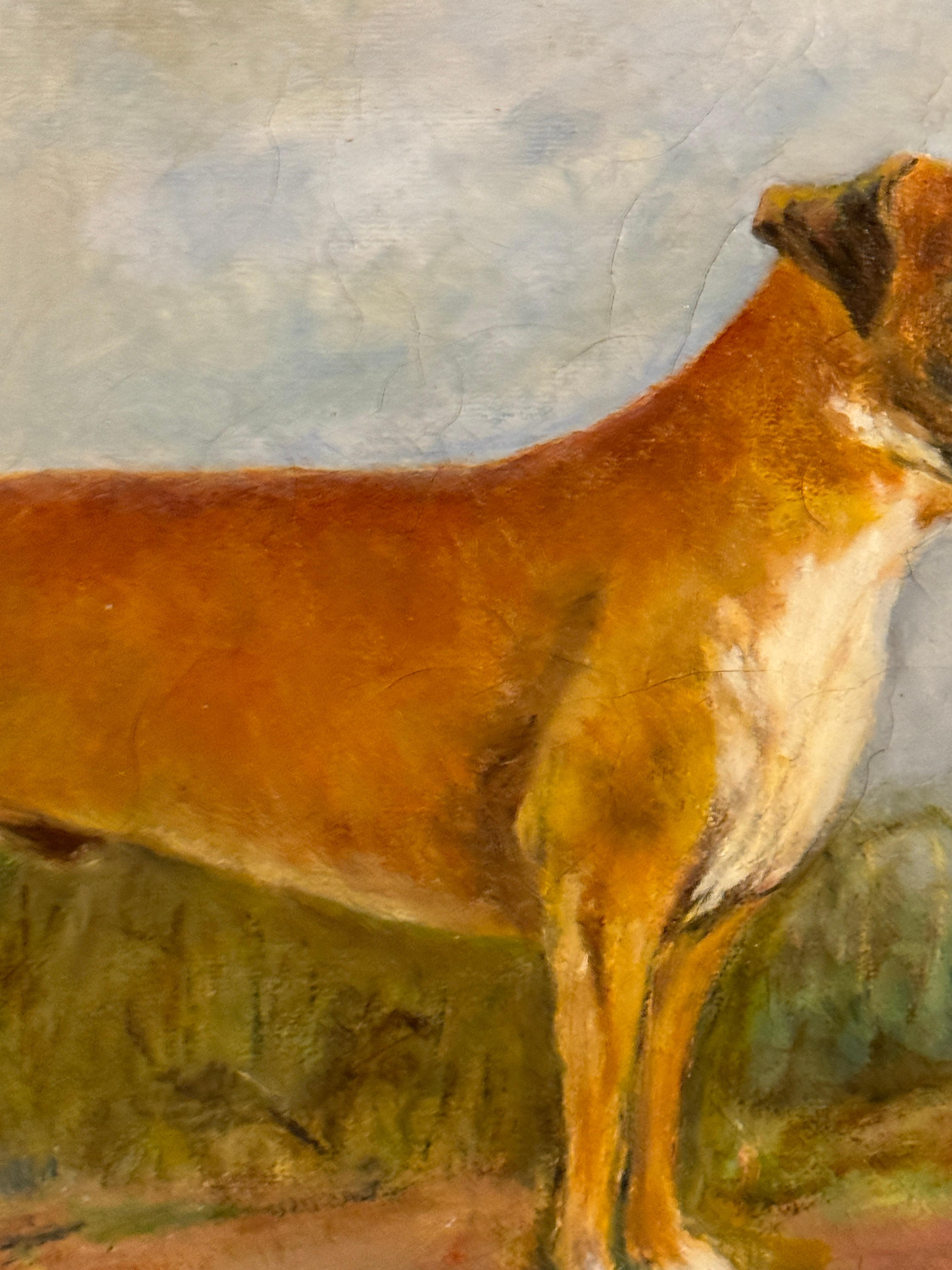 Mid century English portrait of a Boxer dog standing in a landscape - English School Painting by Unknown