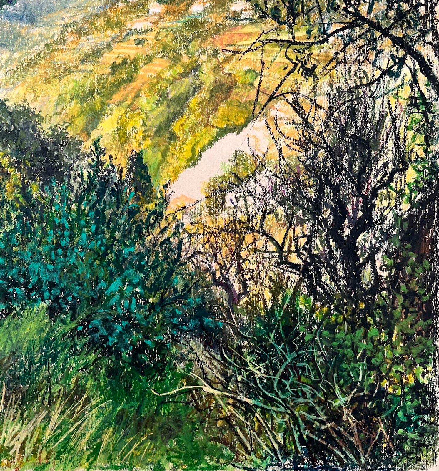 Mid Century Französisch Original Pastell Gemälde eines Hillside Landschaft (Beige), Landscape Painting, von Josine Vignon