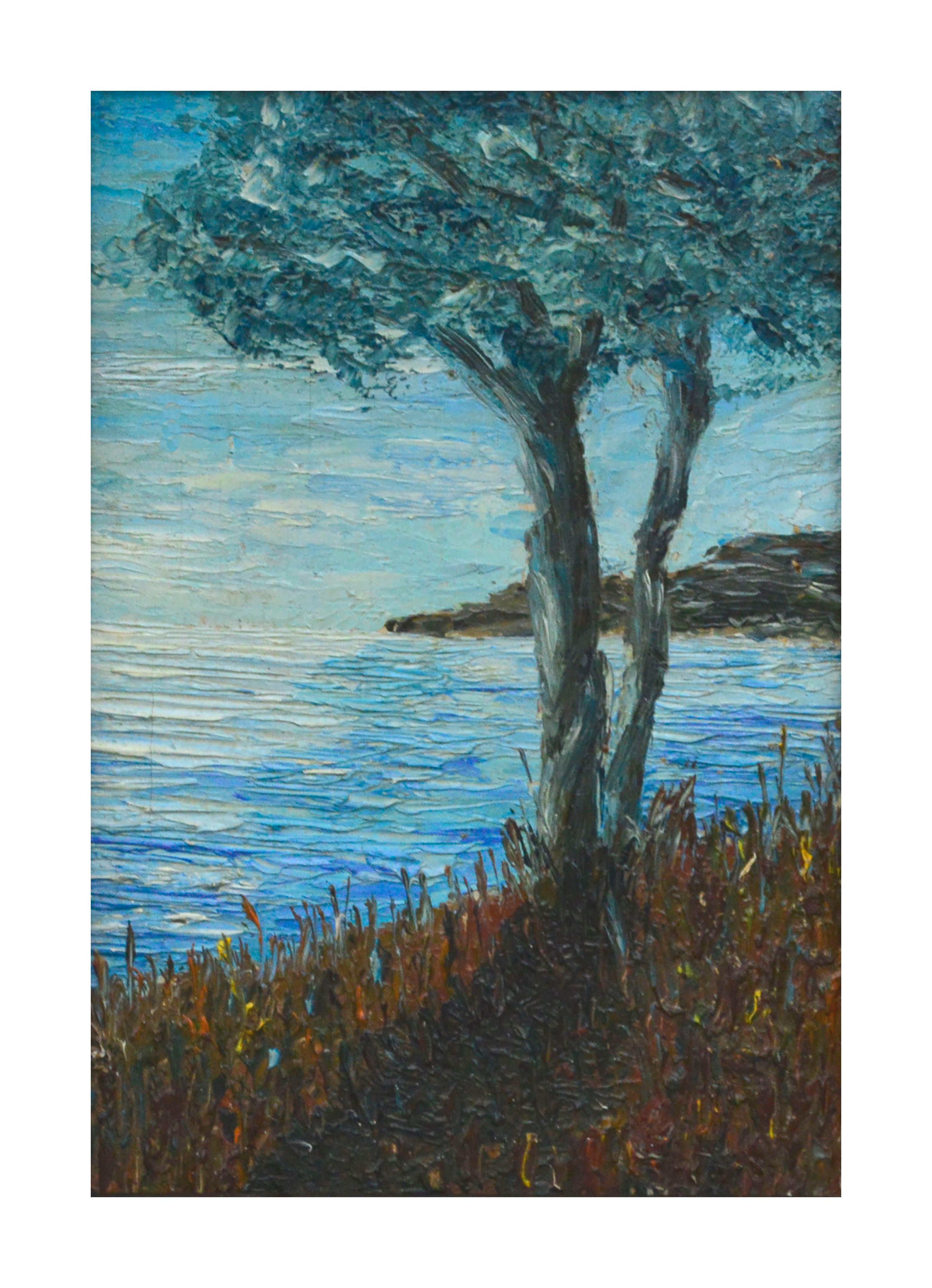 Tree by the Bay, Small-Scale Mid Century Coastal Landscape  - Painting by Unknown