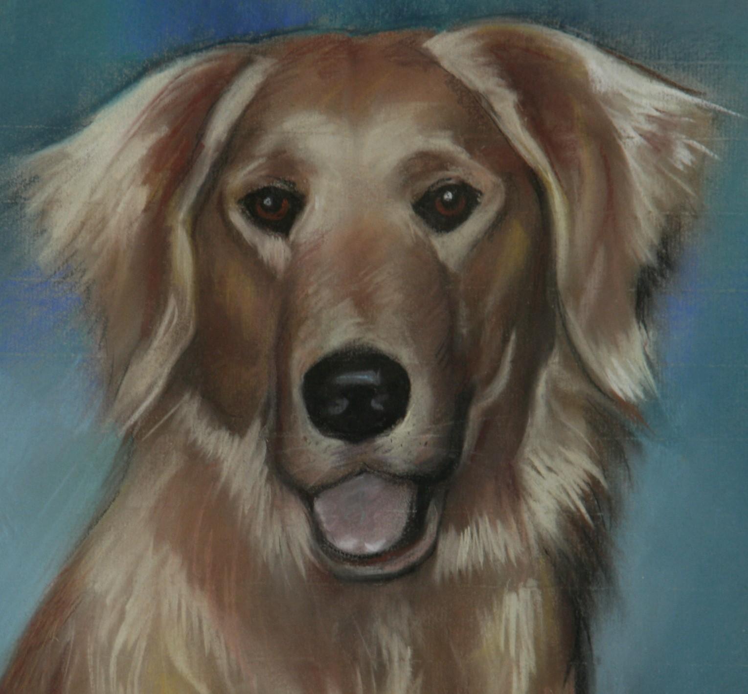 3953 Pastel al óleo sobre papel de un perro golden retriever
Tamaño de la imagen 11,5x15,5
Enmarcado en un marco de roble