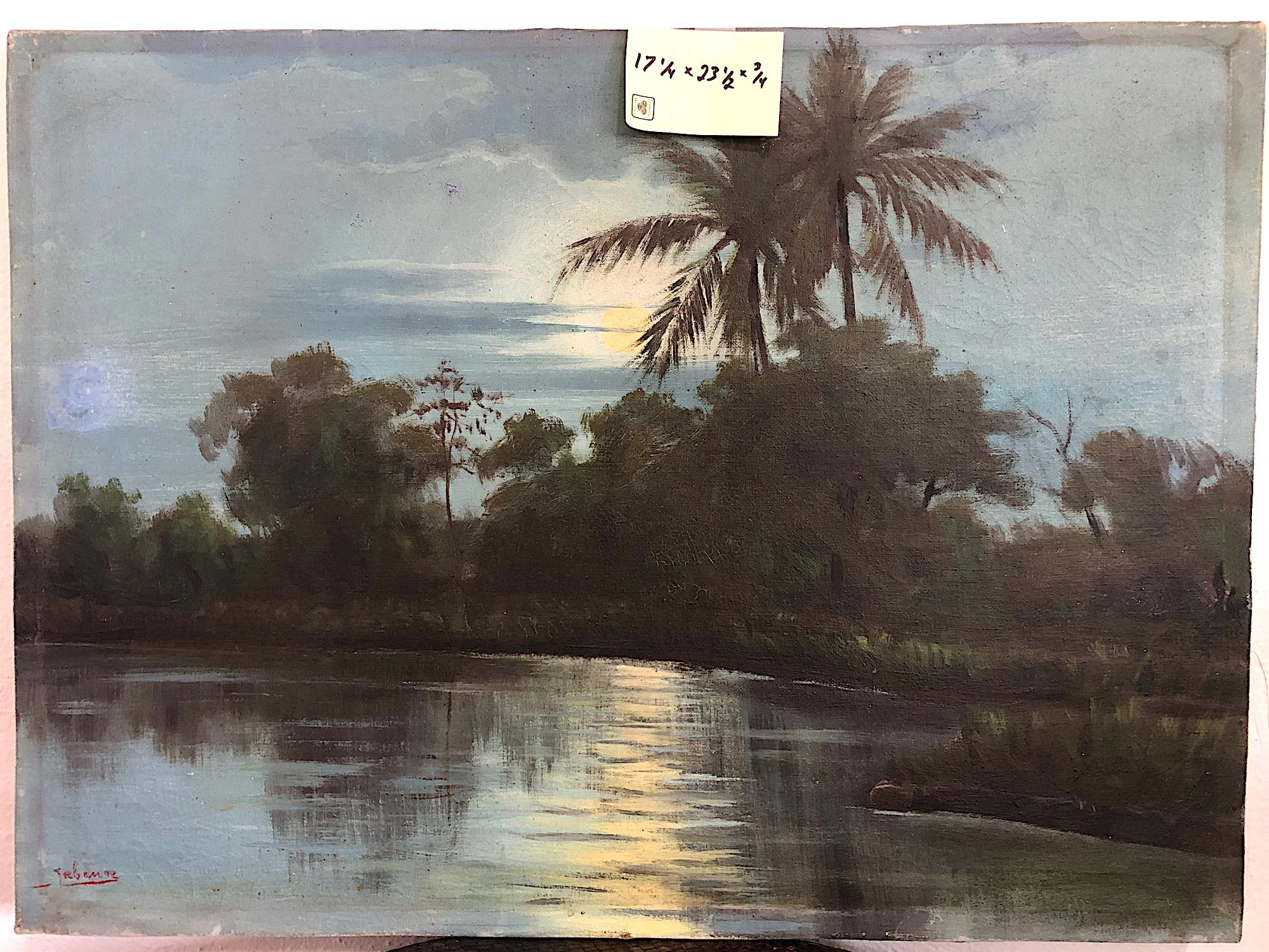 Mondlicht in den Tropen im Angebot 1