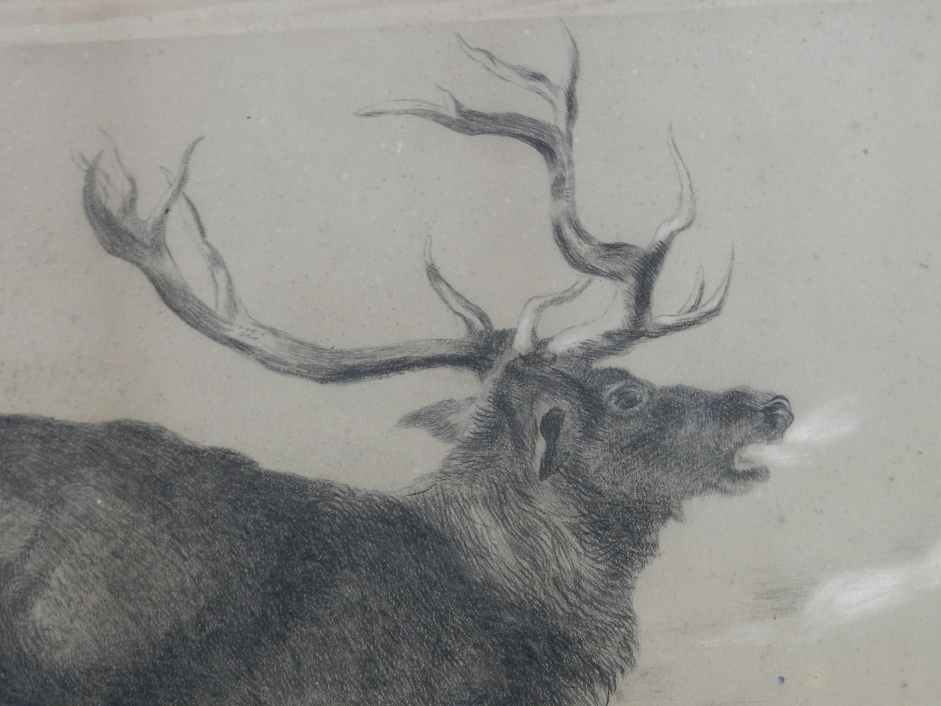 Moose-Gemälde, 19. Jahrhundert 1878, englisch, signiert vom Künstler (Englische Schule), Painting, von Unknown