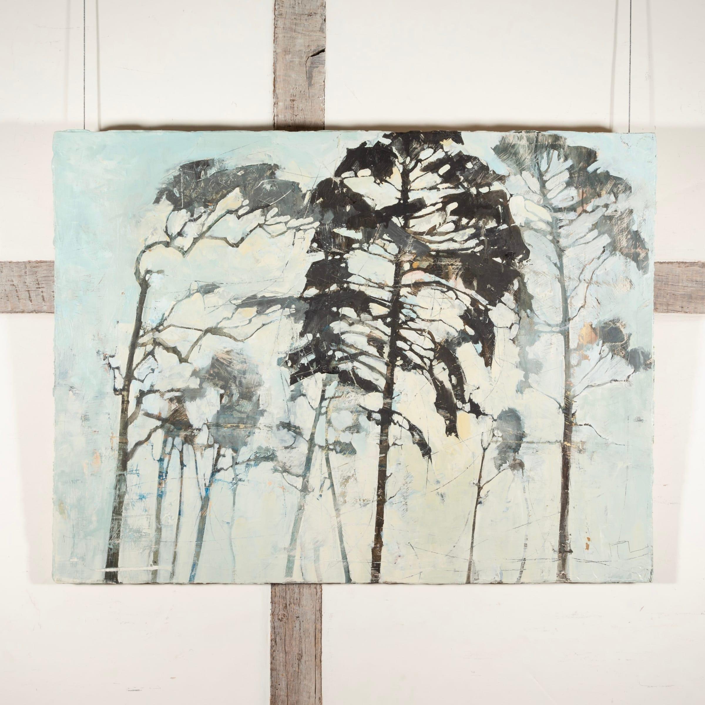 Morning Through Pine, Öl auf Karton, Gemälde von Ffiona Lewis – Painting von Unknown