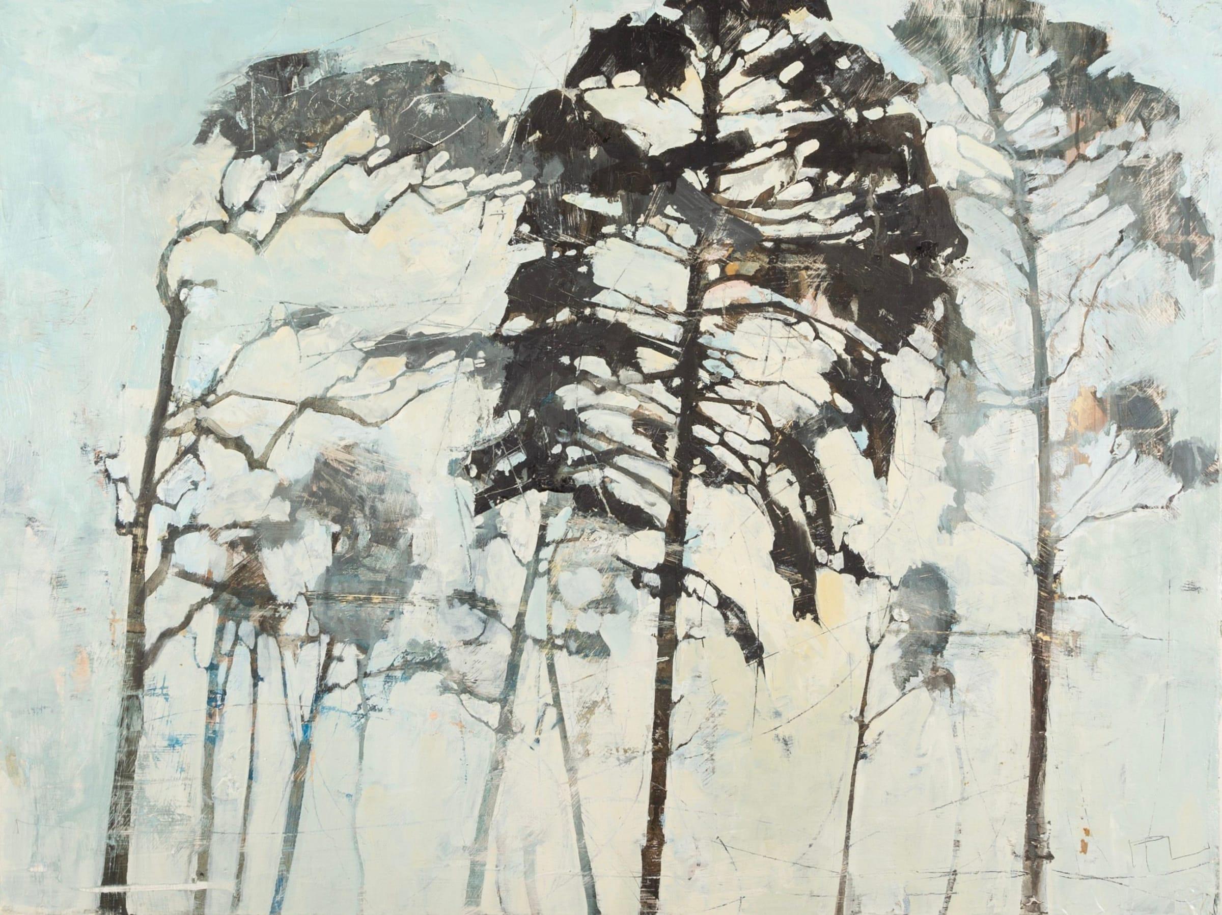 Unknown Landscape Painting – Morning Through Pine, Öl auf Karton, Gemälde von Ffiona Lewis